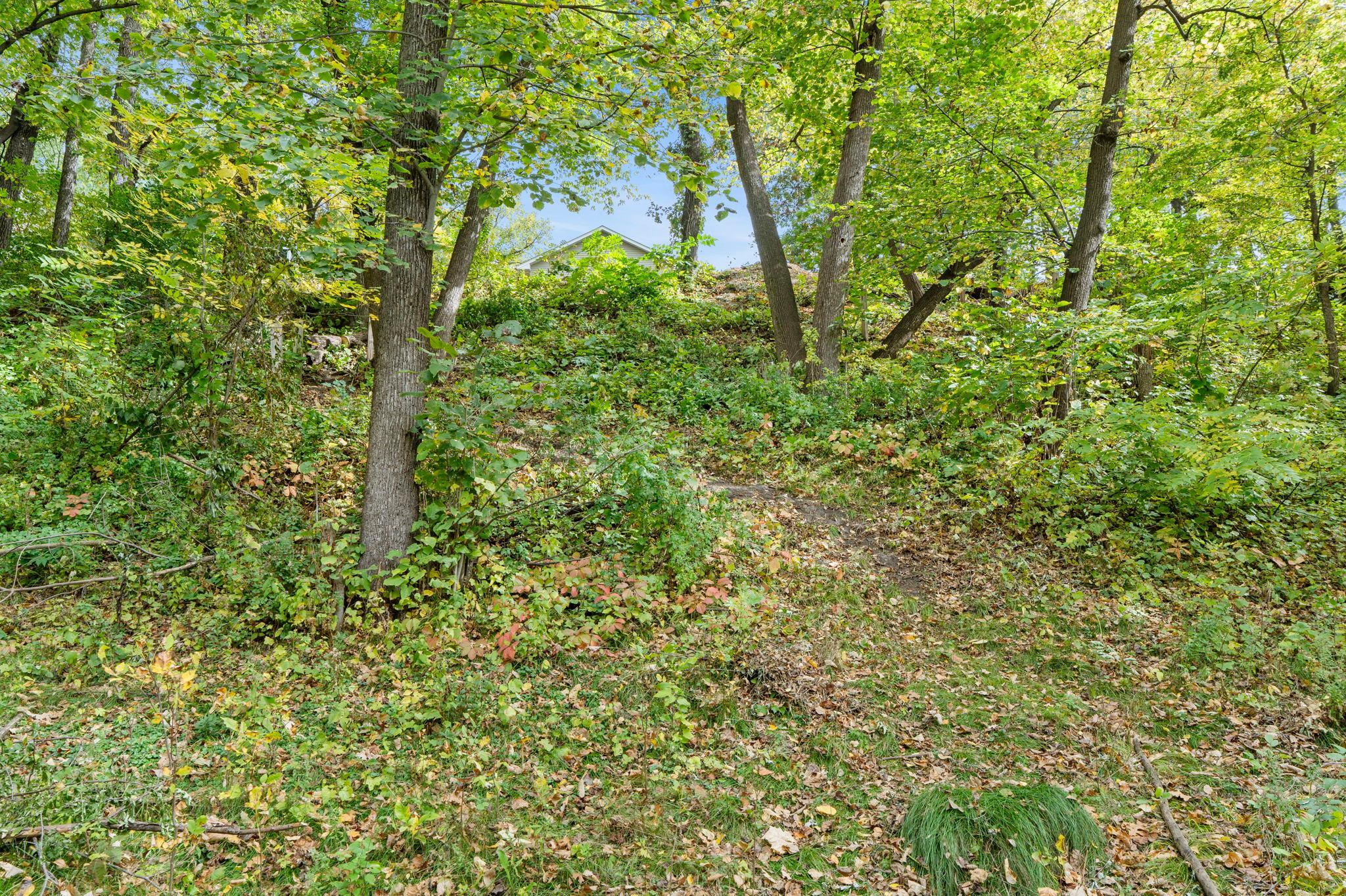 View of Residential at 16796 Yale Street, Elk River MN 55330, Elk River (53 of 88) - Mike Wilen | Minnesota Team Real Estate