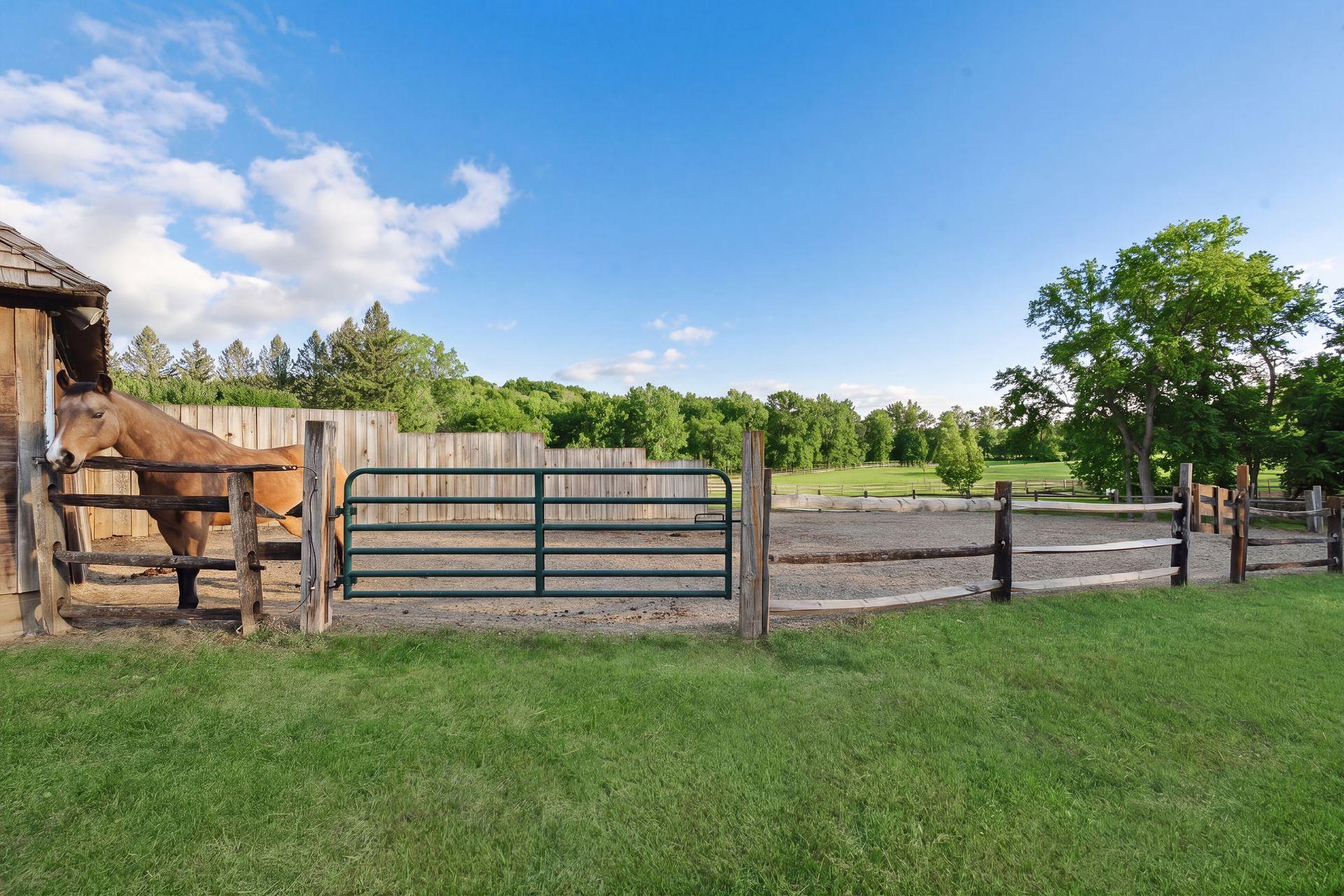 View of Residential at 2495 Willow Drive, Medina MN 55340, Medina (57 of 69) - Mike Wilen | Minnesota Team Real Estate