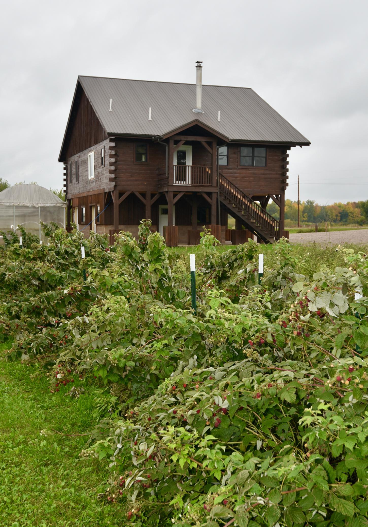 View of Residential at 7155 160th Street, Bock MN 56353, Bock (14 of 44) - Mike Wilen | Minnesota Team Real Estate