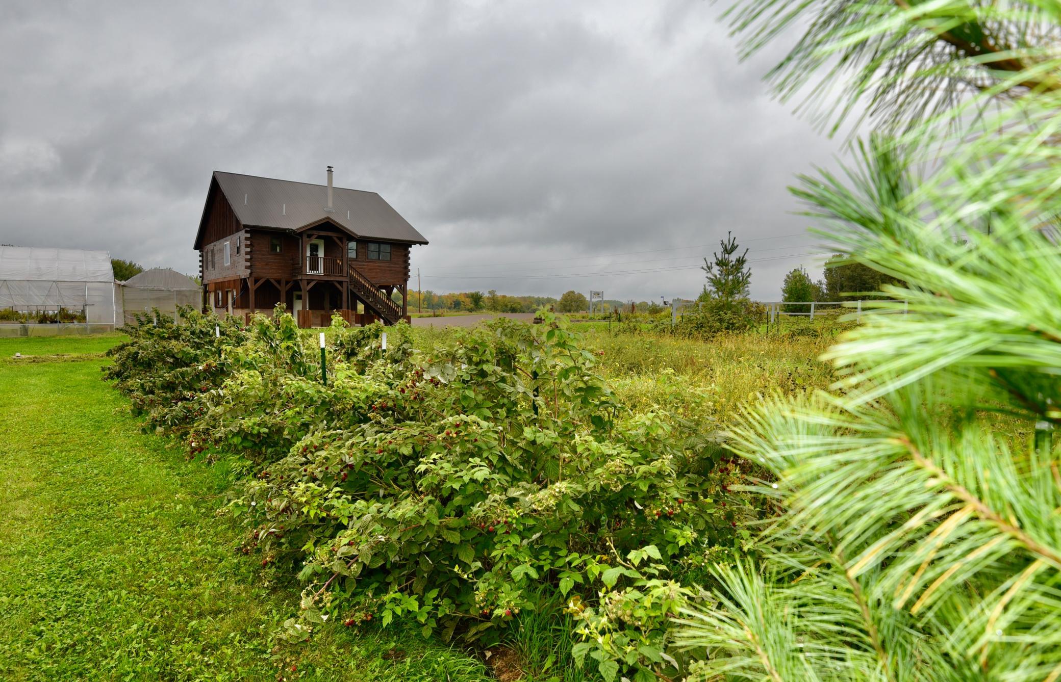 View of Residential at 7155 160th Street, Bock MN 56353, Bock (13 of 44) - Mike Wilen | Minnesota Team Real Estate