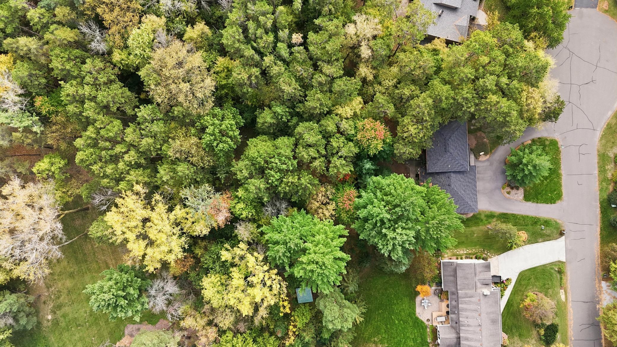 View of Residential at 7413 Pinehurst Court, Pine Springs MN 55115, Pine Springs (63 of 72) - Mike Wilen | Minnesota Team Real Estate
