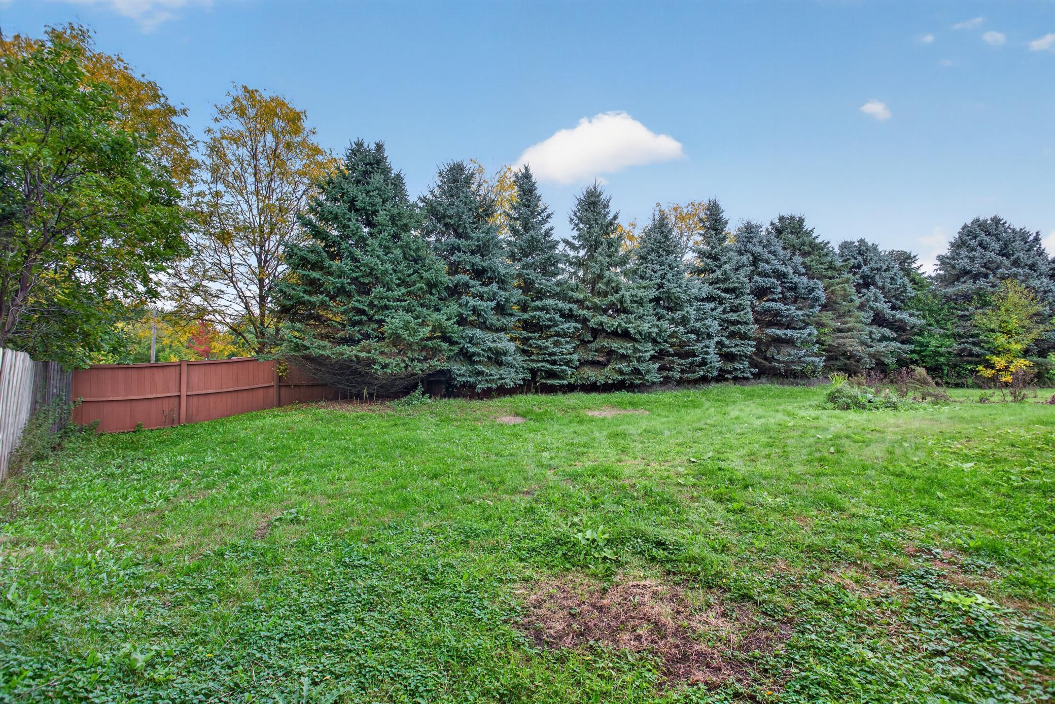 View of Residential at 7536 165th Street, Lakeville MN 55044, Lakeville (15 of 21) - Mike Wilen | Minnesota Team Real Estate