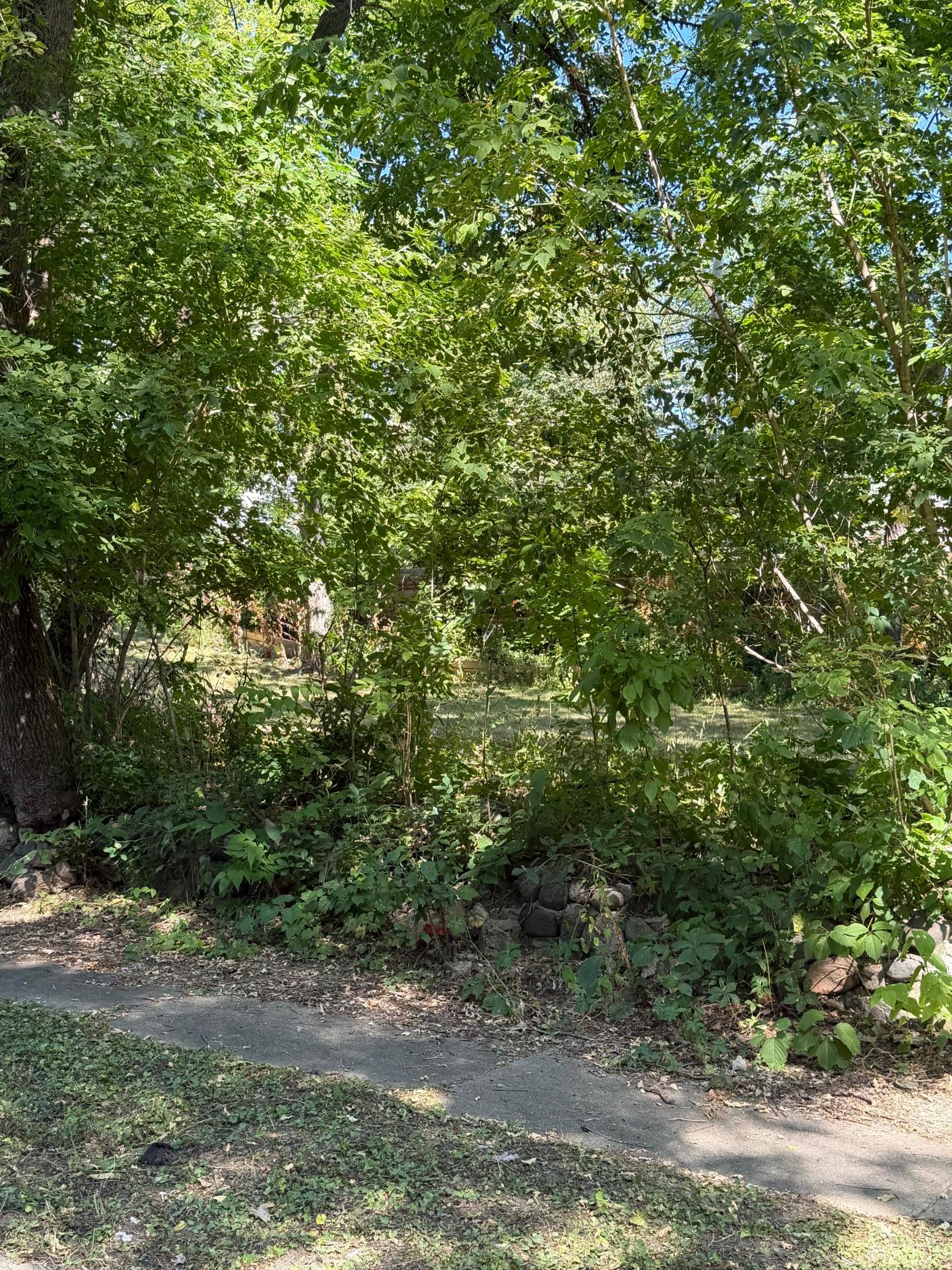 View of Land at 514 Sheridan Avenue, Minneapolis MN 55405, Minneapolis (10 of 12) - Mike Wilen | Minnesota Team Real Estate