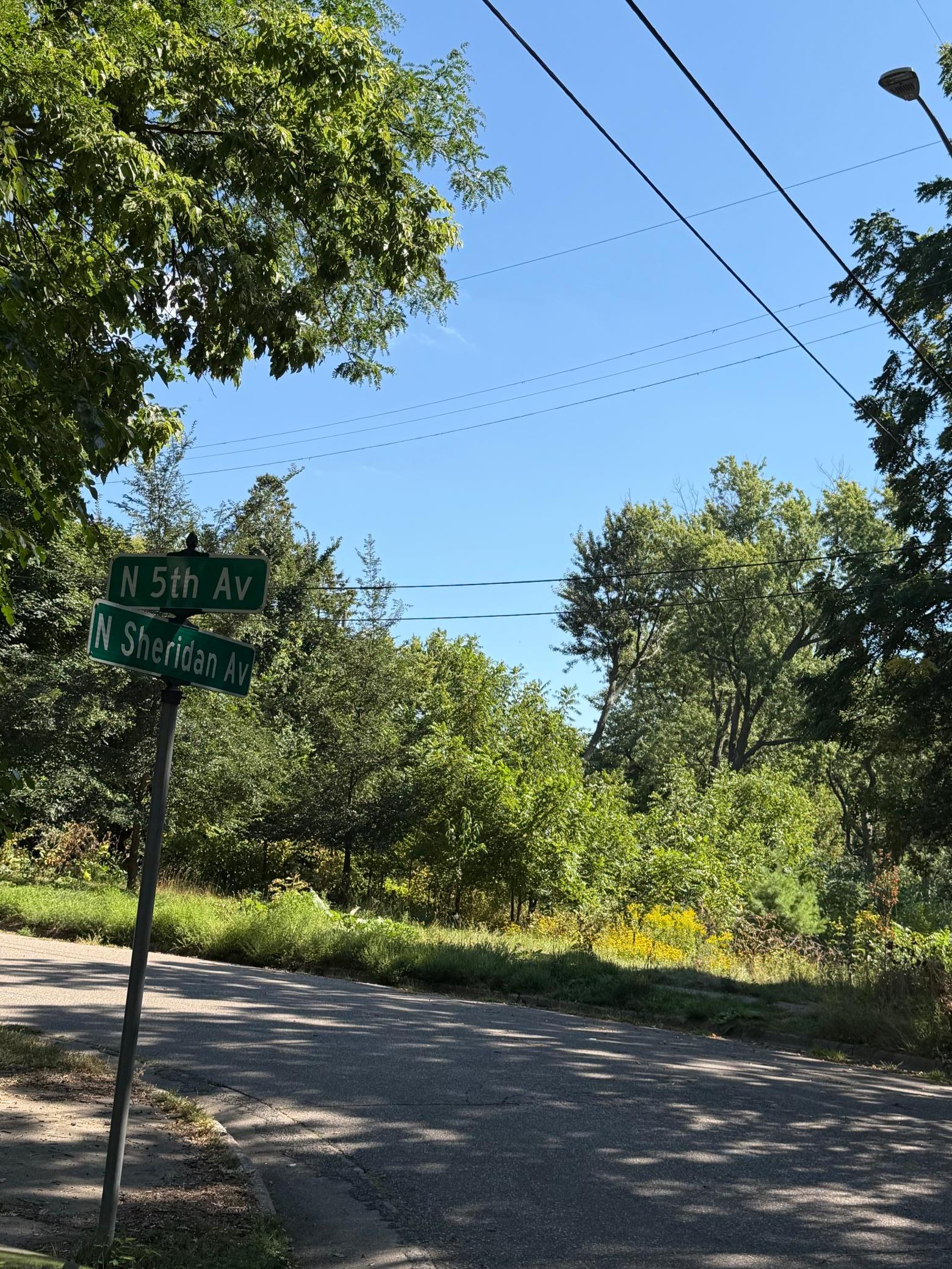 View of Land at 514 Sheridan Avenue, Minneapolis MN 55405, Minneapolis (12 of 12) - Mike Wilen | Minnesota Team Real Estate
