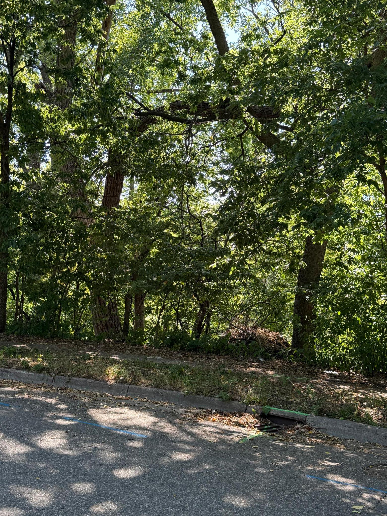 View of Land at 514 Sheridan Avenue, Minneapolis MN 55405, Minneapolis (11 of 12) - Mike Wilen | Minnesota Team Real Estate