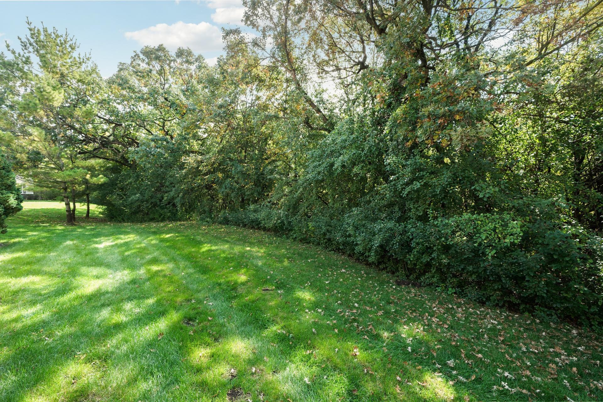 View of Residential at 218 River Woods Drive, Saint Paul Park MN 55071, Saint Paul Park (39 of 56) - Mike Wilen | Minnesota Team Real Estate