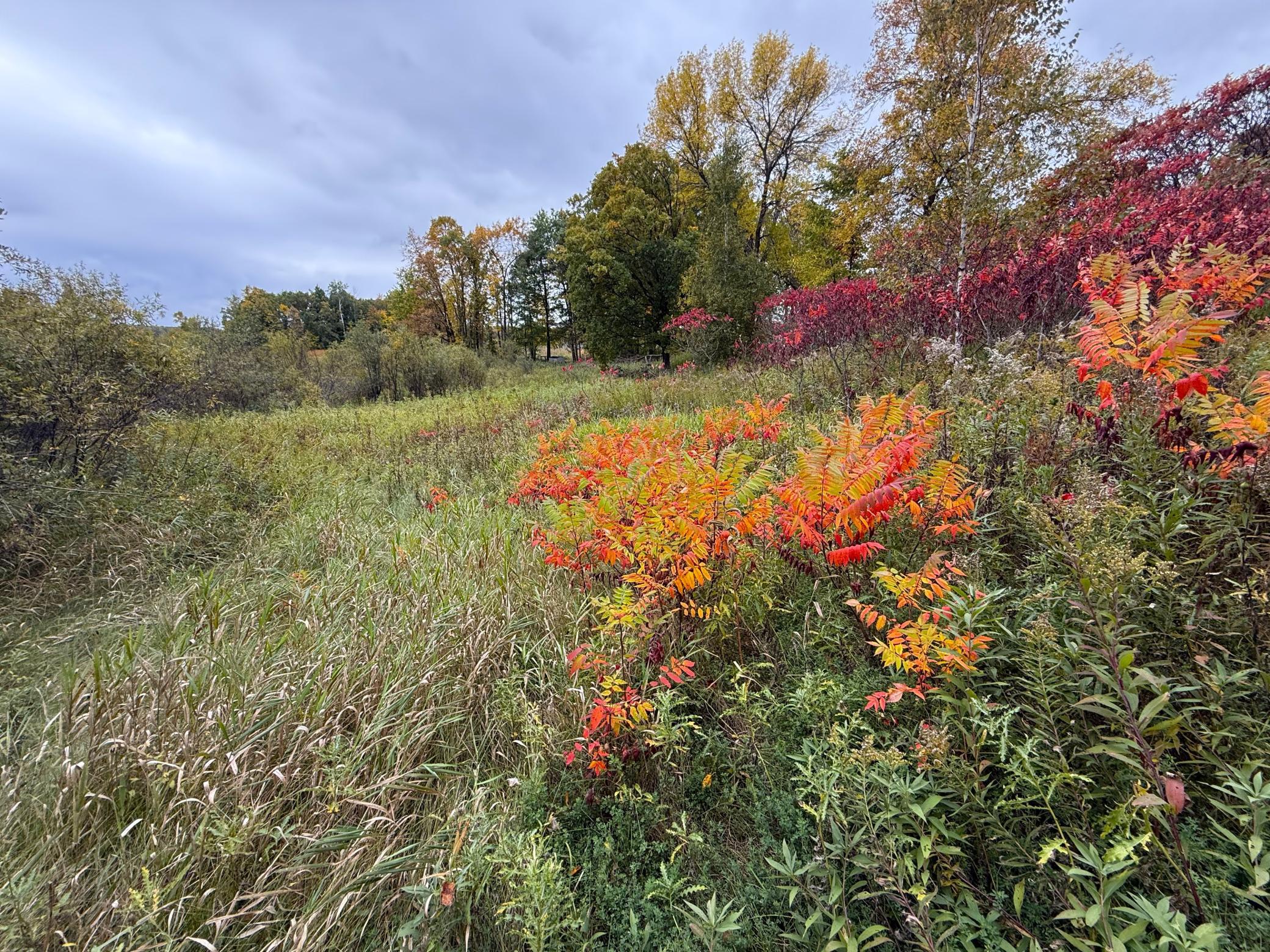 View of Land at TBD 360th Street, Onamia MN 56359, Onamia (13 of 59) - Mike Wilen | Minnesota Team Real Estate