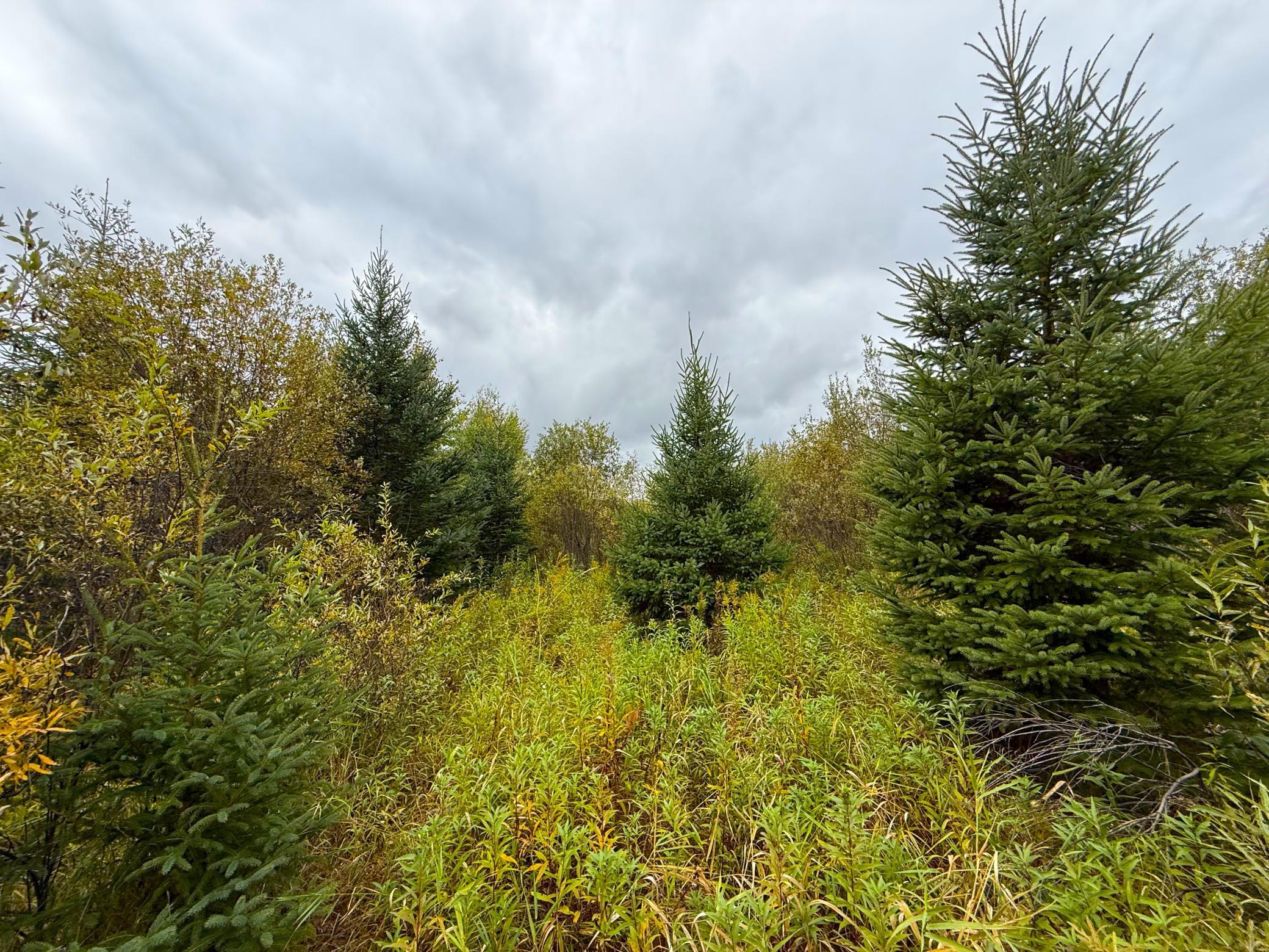 View of Land at TBD 360th Street, Onamia MN 56359, Onamia (3 of 59) - Mike Wilen | Minnesota Team Real Estate