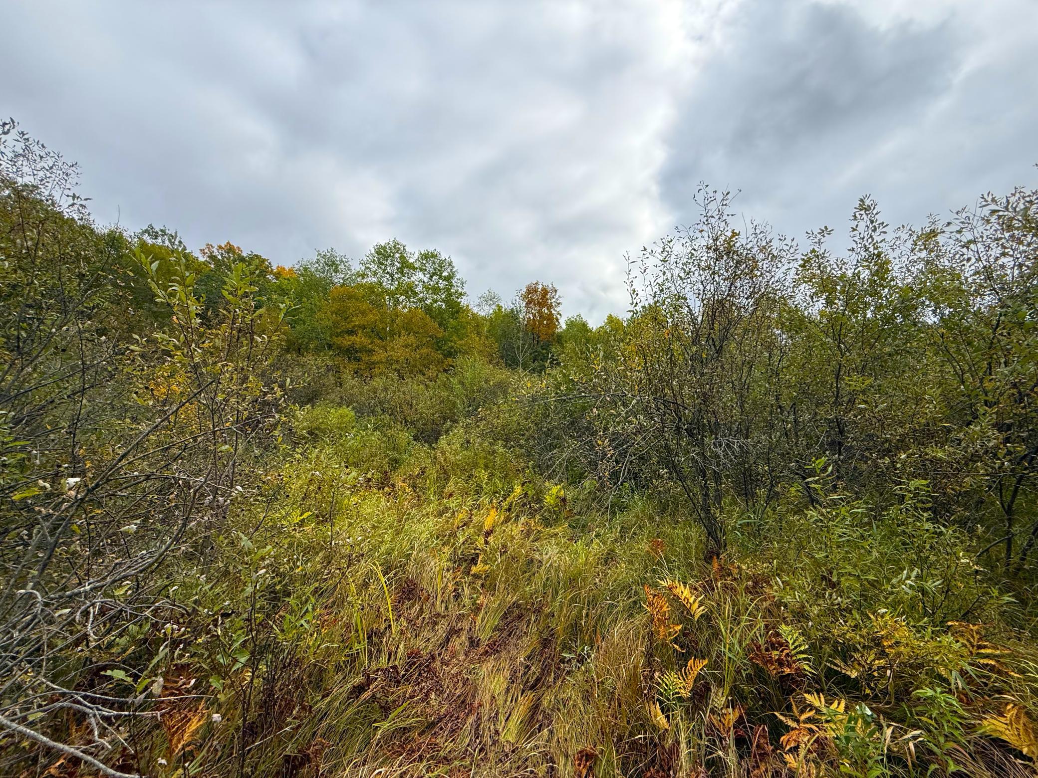 View of Land at TBD 360th Street, Onamia MN 56359, Onamia (5 of 59) - Mike Wilen | Minnesota Team Real Estate