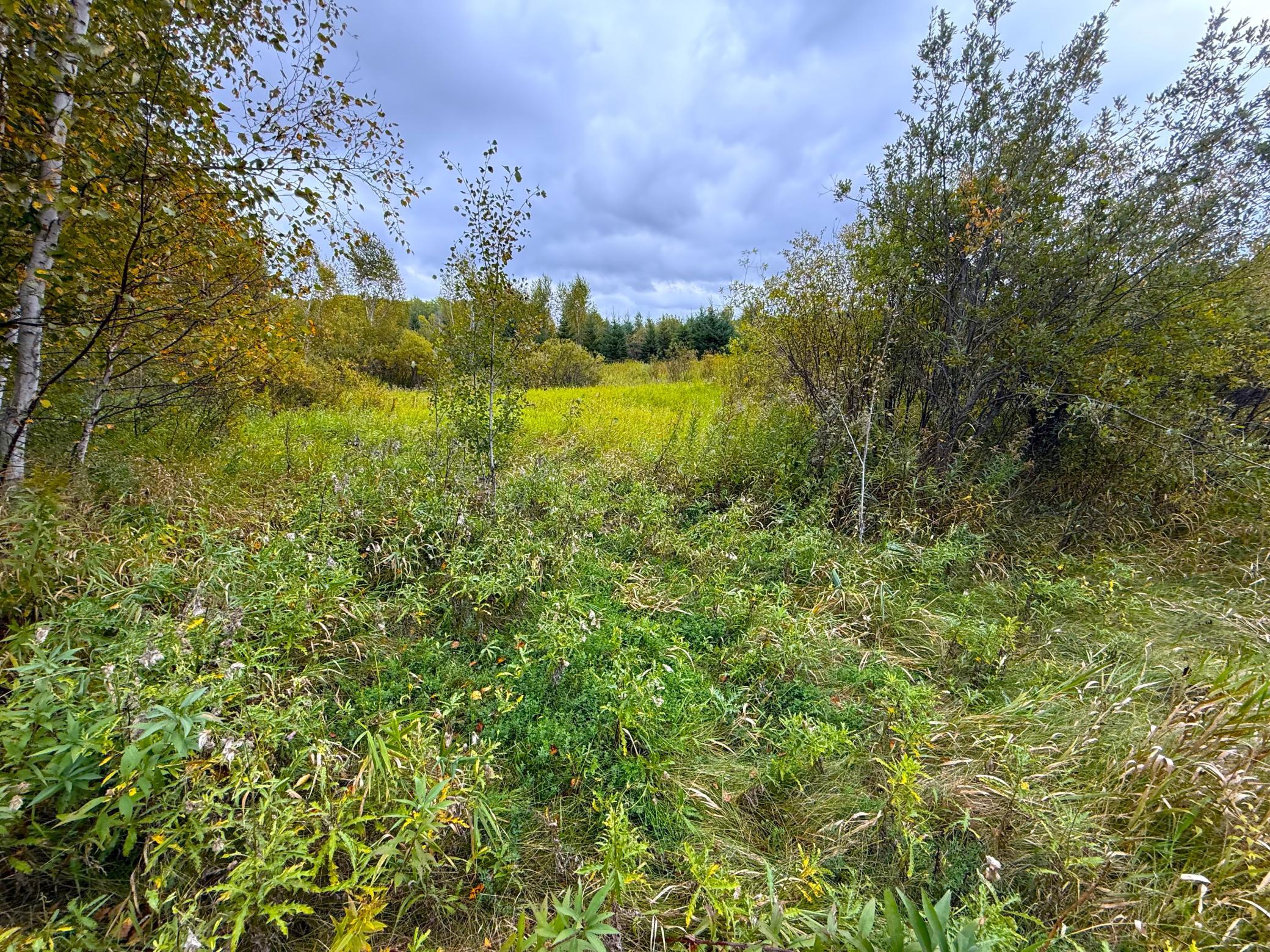 View of Land at TBD 360th Street, Onamia MN 56359, Onamia (30 of 59) - Mike Wilen | Minnesota Team Real Estate