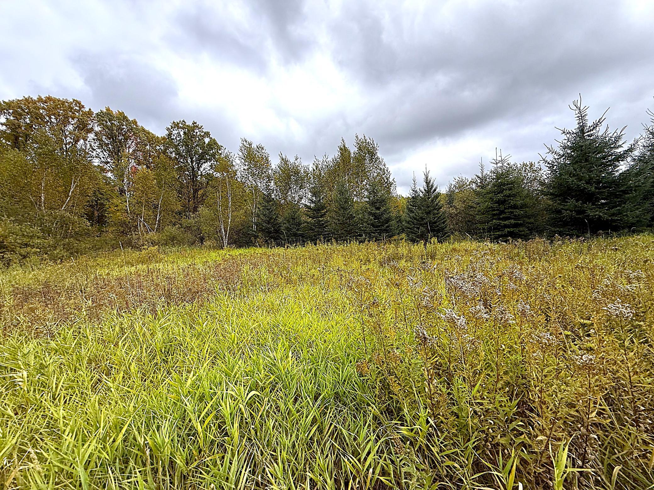 View of Land at TBD 360th Street, Onamia MN 56359, Onamia (28 of 59) - Mike Wilen | Minnesota Team Real Estate