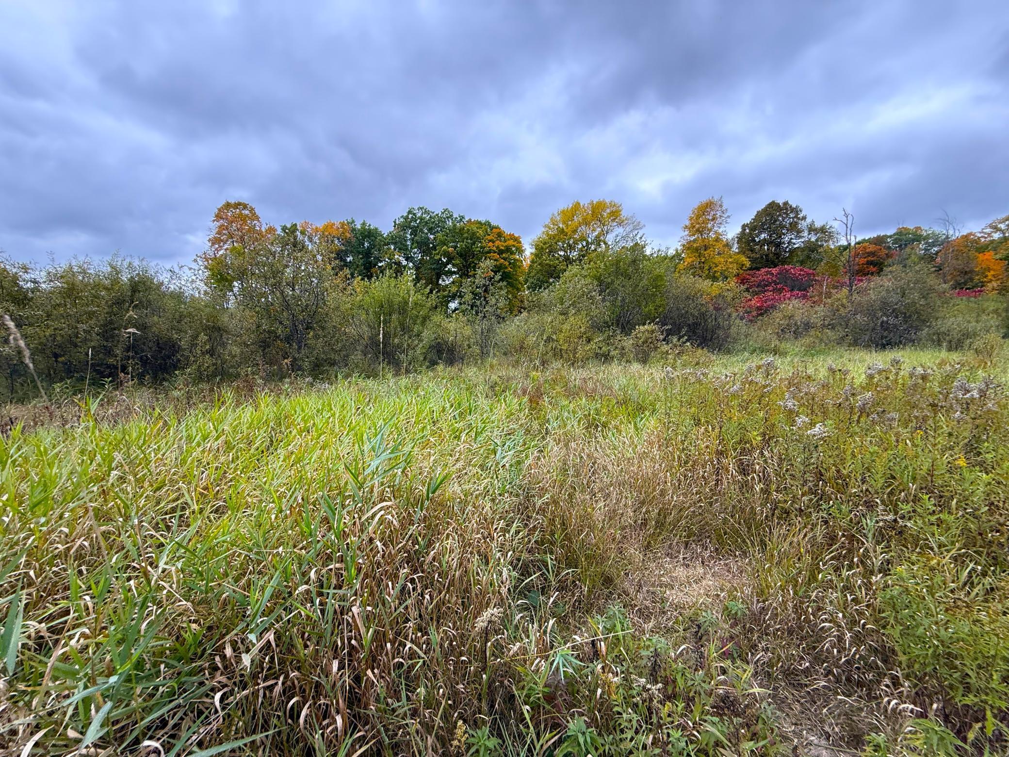 View of Land at TBD 360th Street, Onamia MN 56359, Onamia (27 of 59) - Mike Wilen | Minnesota Team Real Estate