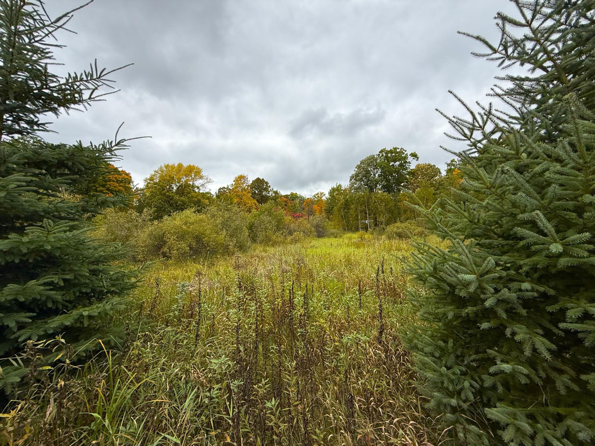View of Land at TBD 360th Street, Onamia MN 56359, Onamia (24 of 59) - Mike Wilen | Minnesota Team Real Estate
