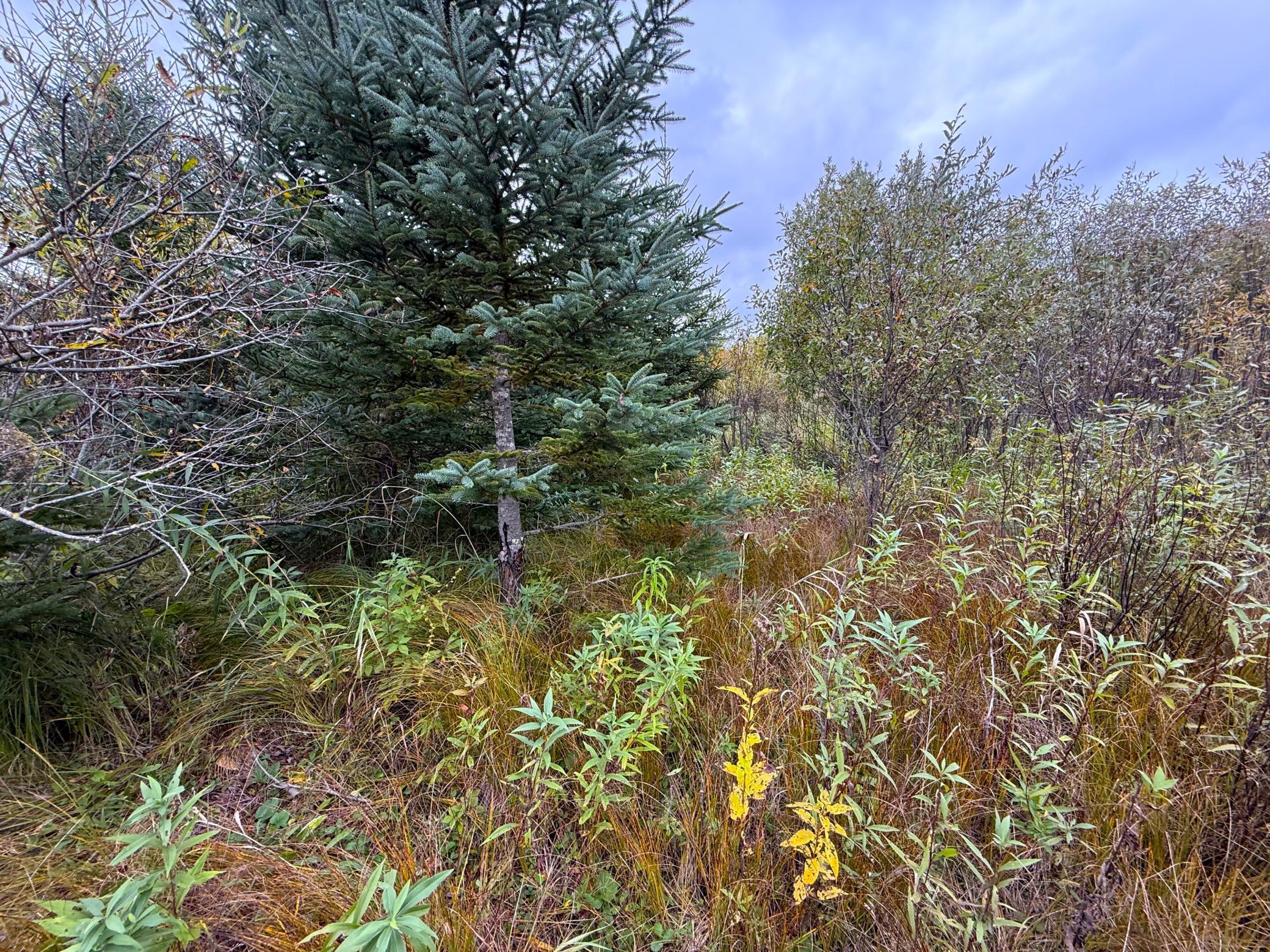 View of Land at TBD 360th Street, Onamia MN 56359, Onamia (23 of 59) - Mike Wilen | Minnesota Team Real Estate
