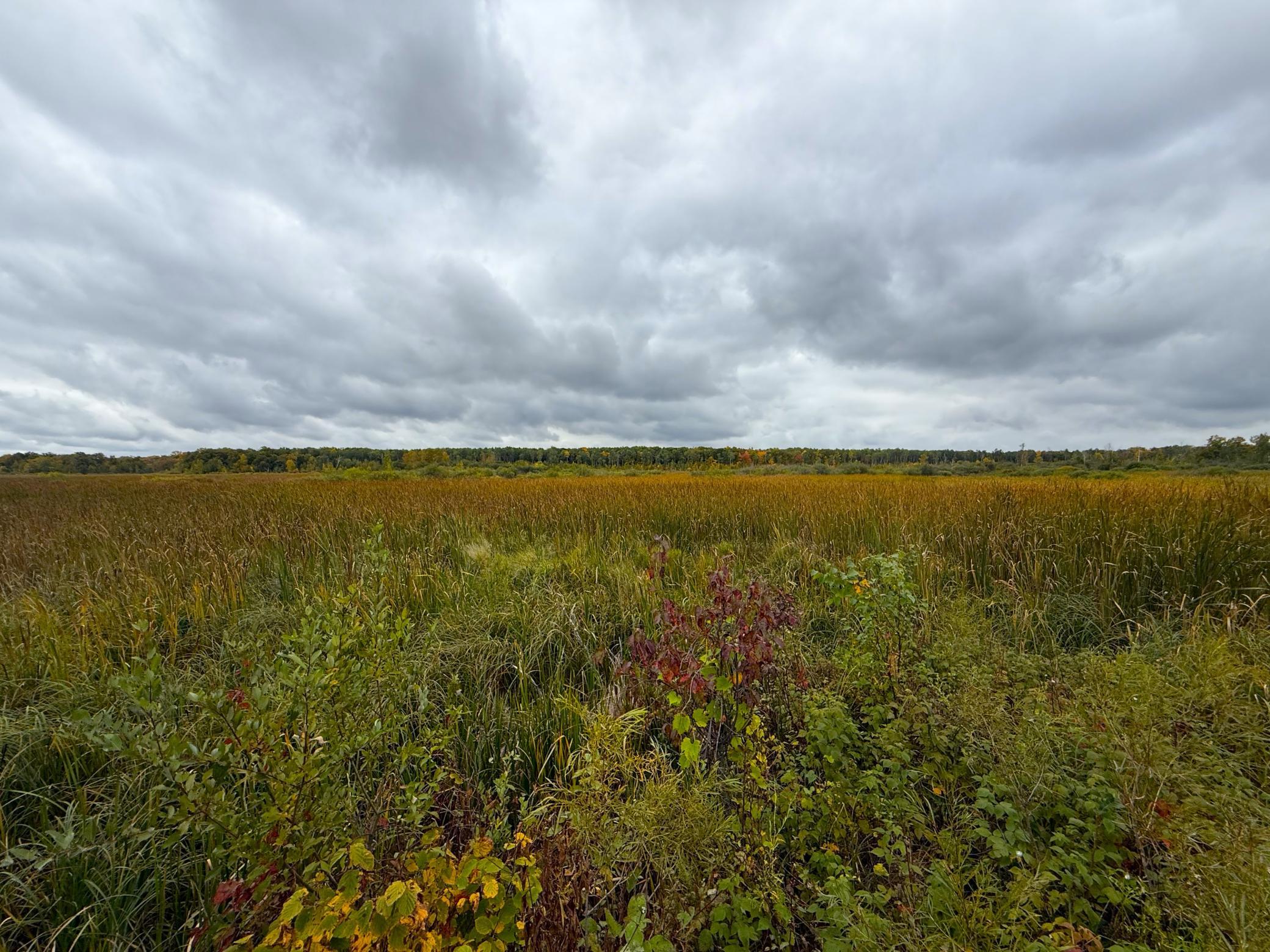 View of Land at TBD 360th Street, Onamia MN 56359, Onamia (22 of 59) - Mike Wilen | Minnesota Team Real Estate