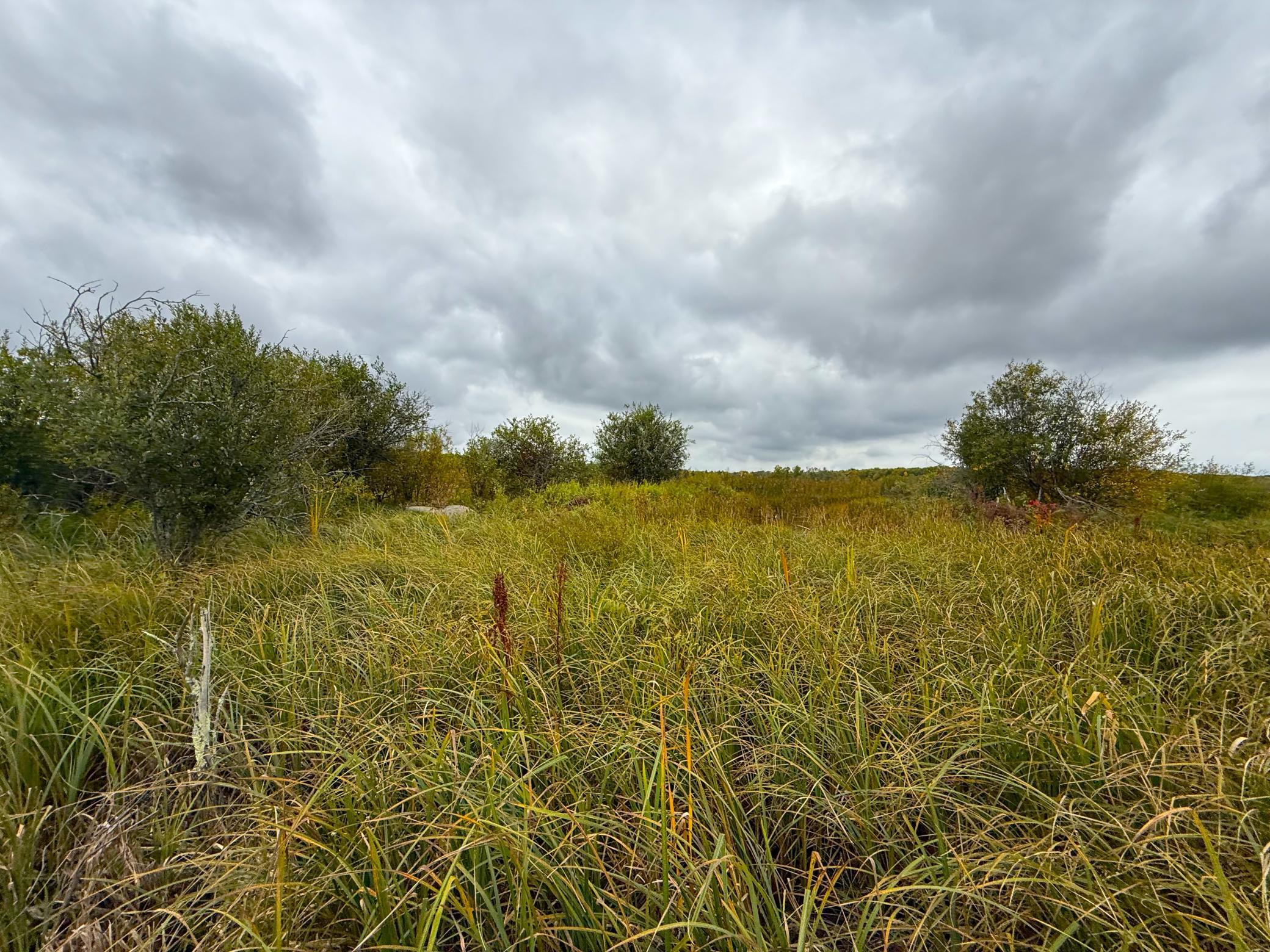 View of Land at TBD 360th Street, Onamia MN 56359, Onamia (20 of 59) - Mike Wilen | Minnesota Team Real Estate