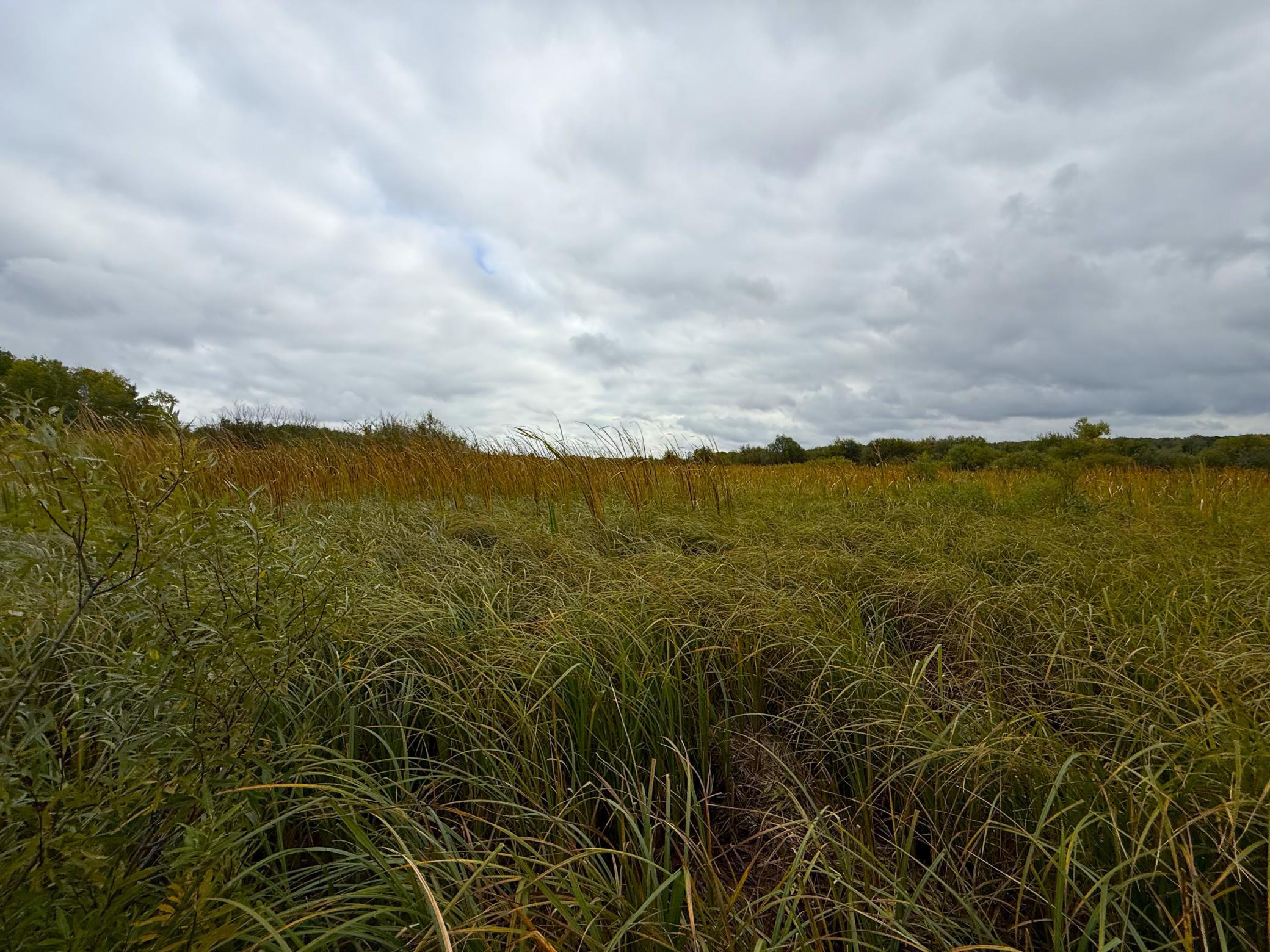 View of Land at TBD 360th Street, Onamia MN 56359, Onamia (19 of 59) - Mike Wilen | Minnesota Team Real Estate