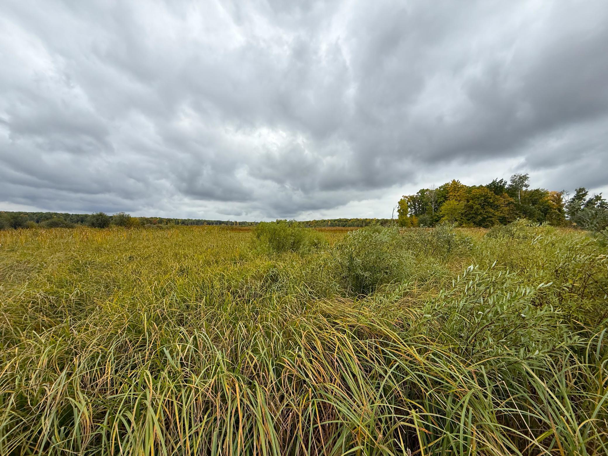 View of Land at TBD 360th Street, Onamia MN 56359, Onamia (18 of 59) - Mike Wilen | Minnesota Team Real Estate