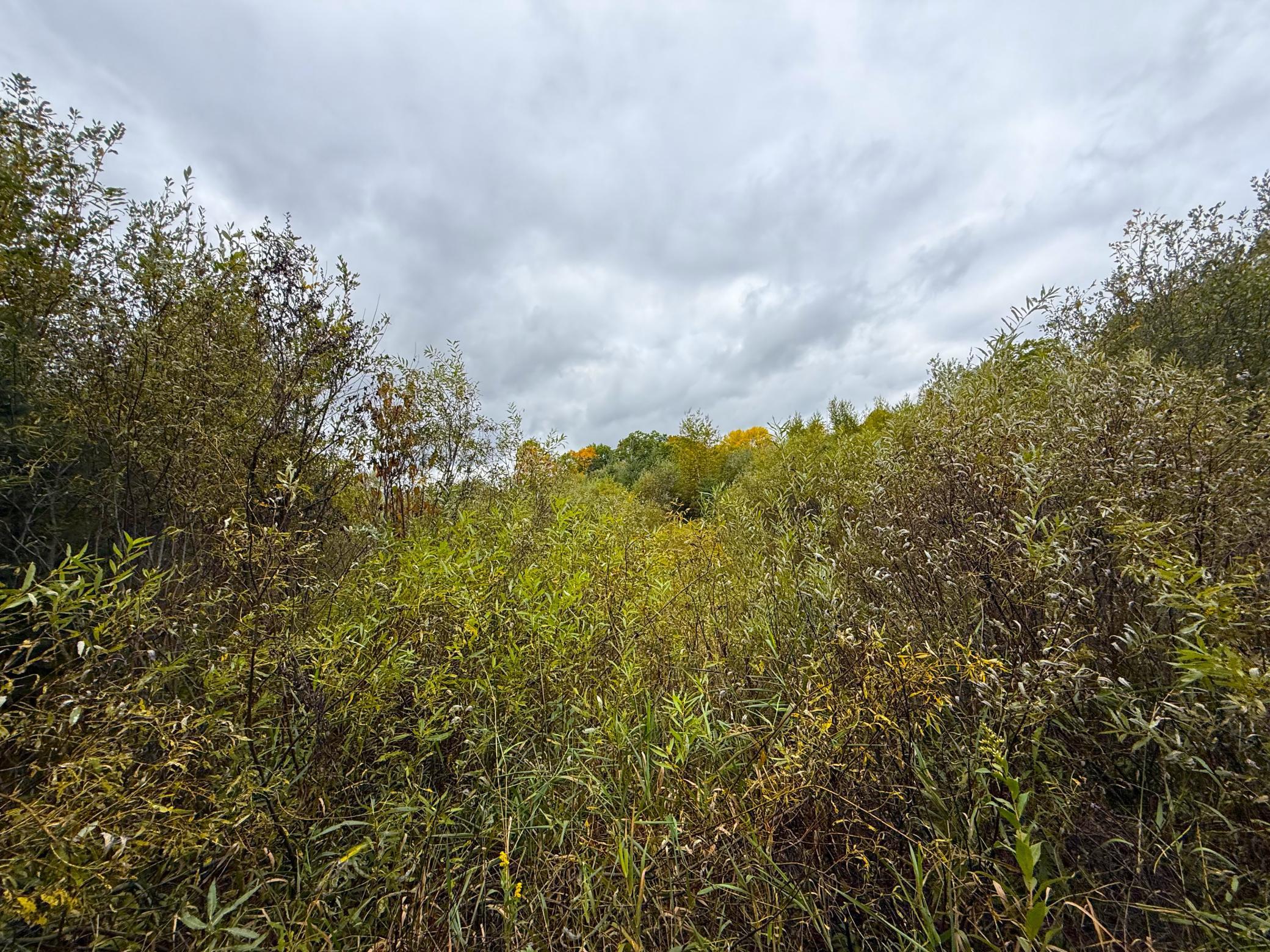 View of Land at TBD 360th Street, Onamia MN 56359, Onamia (17 of 59) - Mike Wilen | Minnesota Team Real Estate