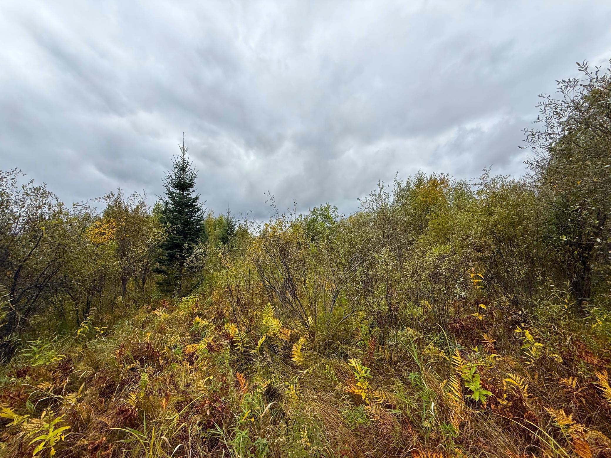 View of Land at TBD 360th Street, Onamia MN 56359, Onamia (16 of 59) - Mike Wilen | Minnesota Team Real Estate