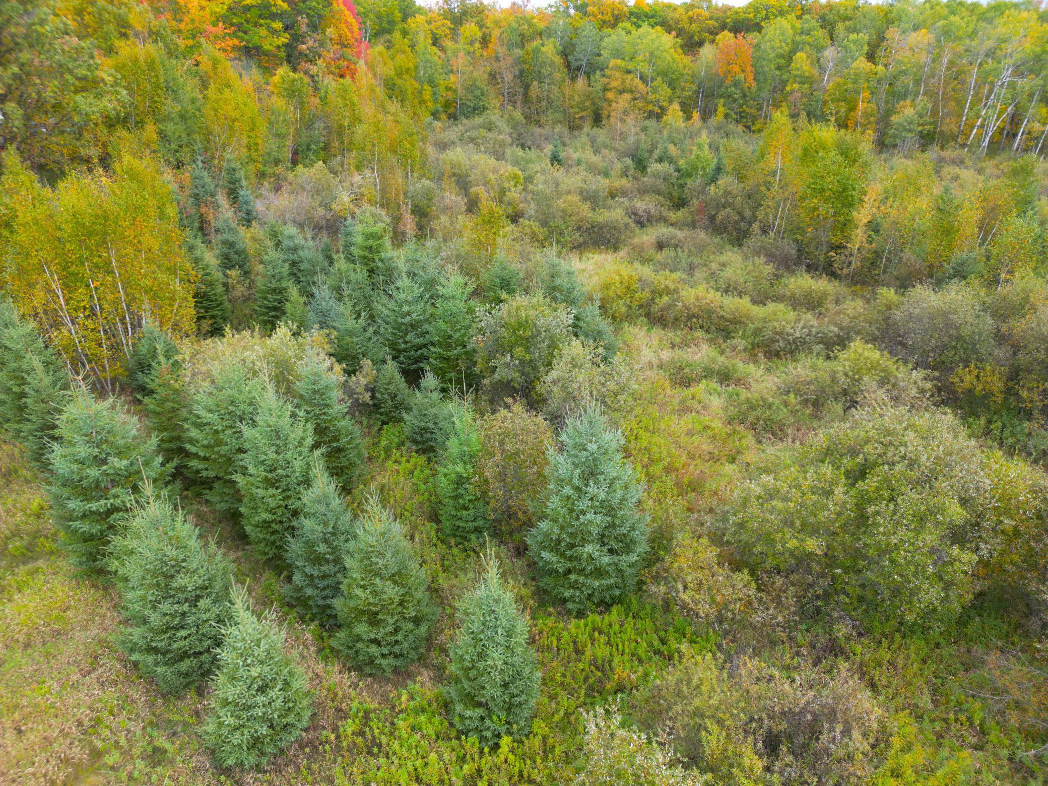 View of Land at TBD 360th Street, Onamia MN 56359, Onamia (14 of 59) - Mike Wilen | Minnesota Team Real Estate