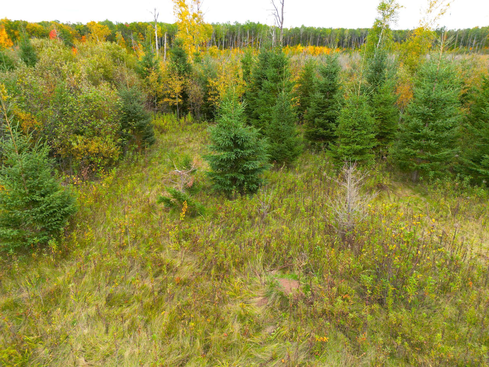 View of Land at TBD 360th Street, Onamia MN 56359, Onamia (40 of 59) - Mike Wilen | Minnesota Team Real Estate
