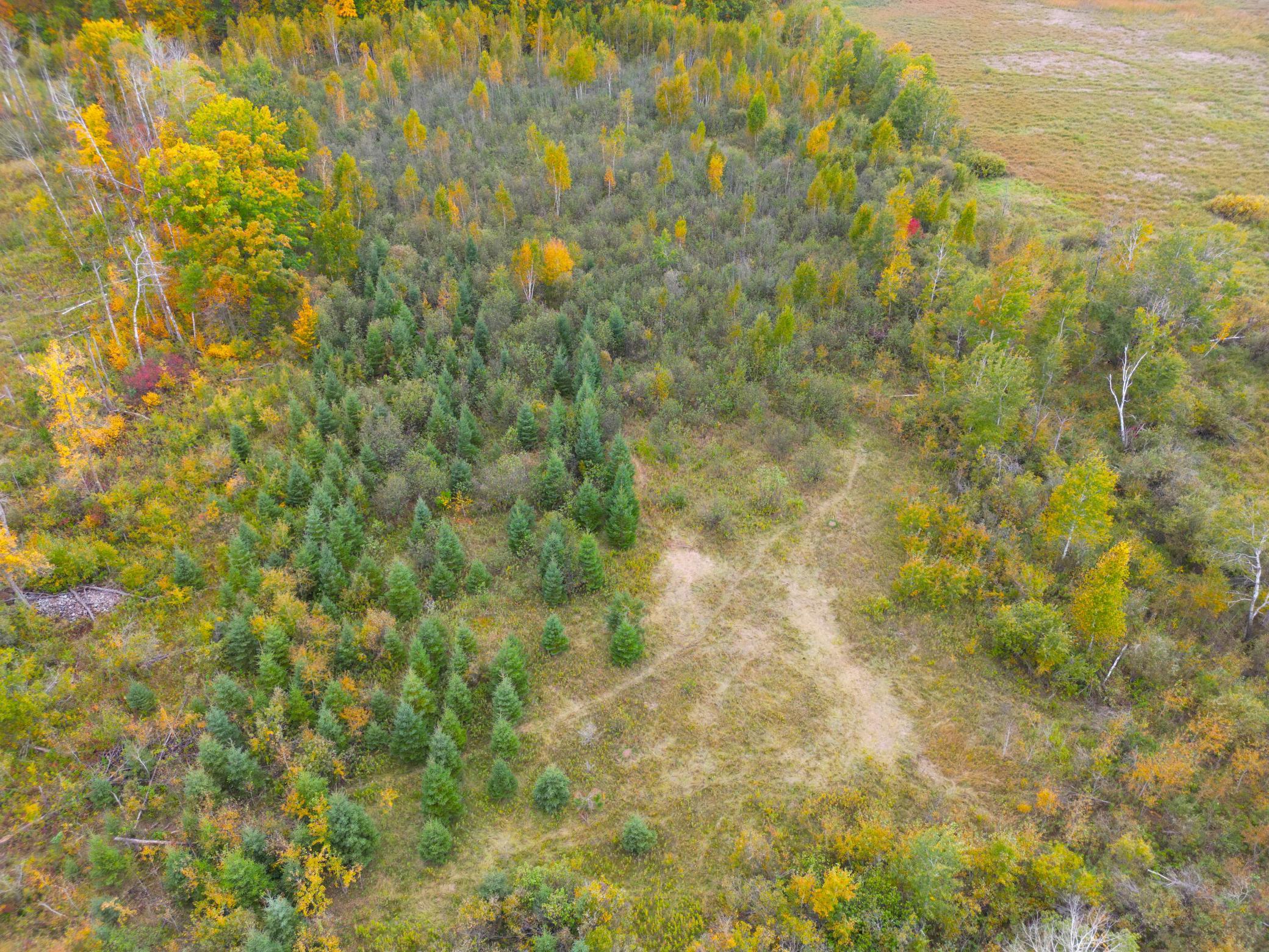 View of Land at TBD 360th Street, Onamia MN 56359, Onamia (39 of 59) - Mike Wilen | Minnesota Team Real Estate