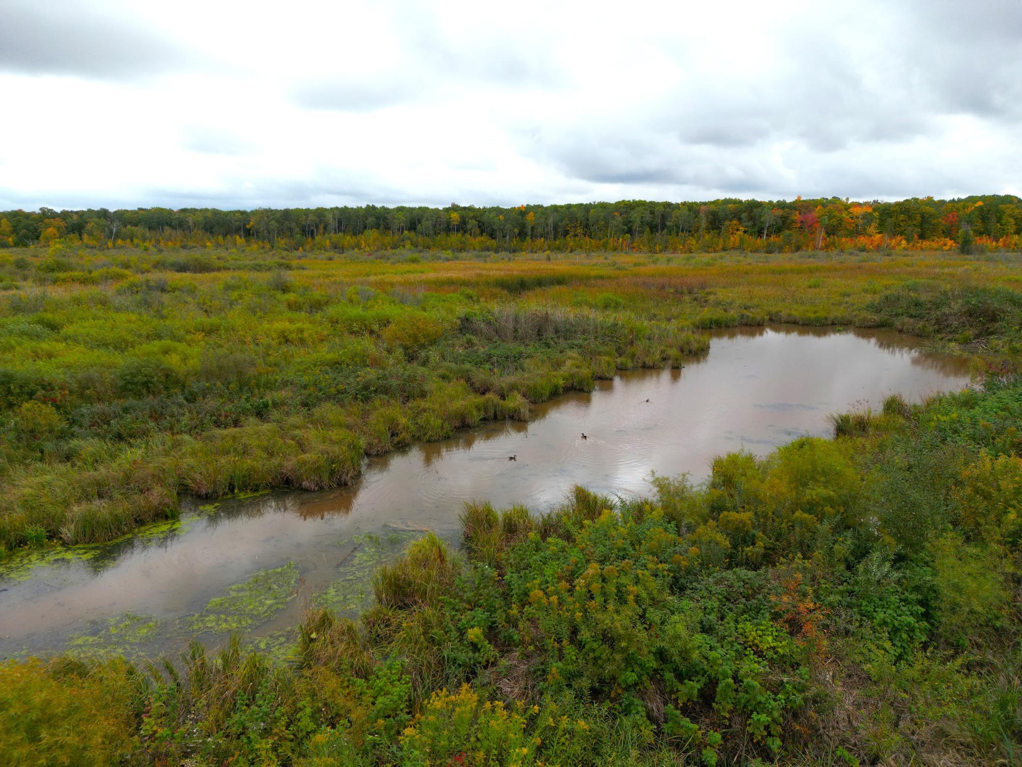 View of Land at TBD 360th Street, Onamia MN 56359, Onamia (35 of 59) - Mike Wilen | Minnesota Team Real Estate
