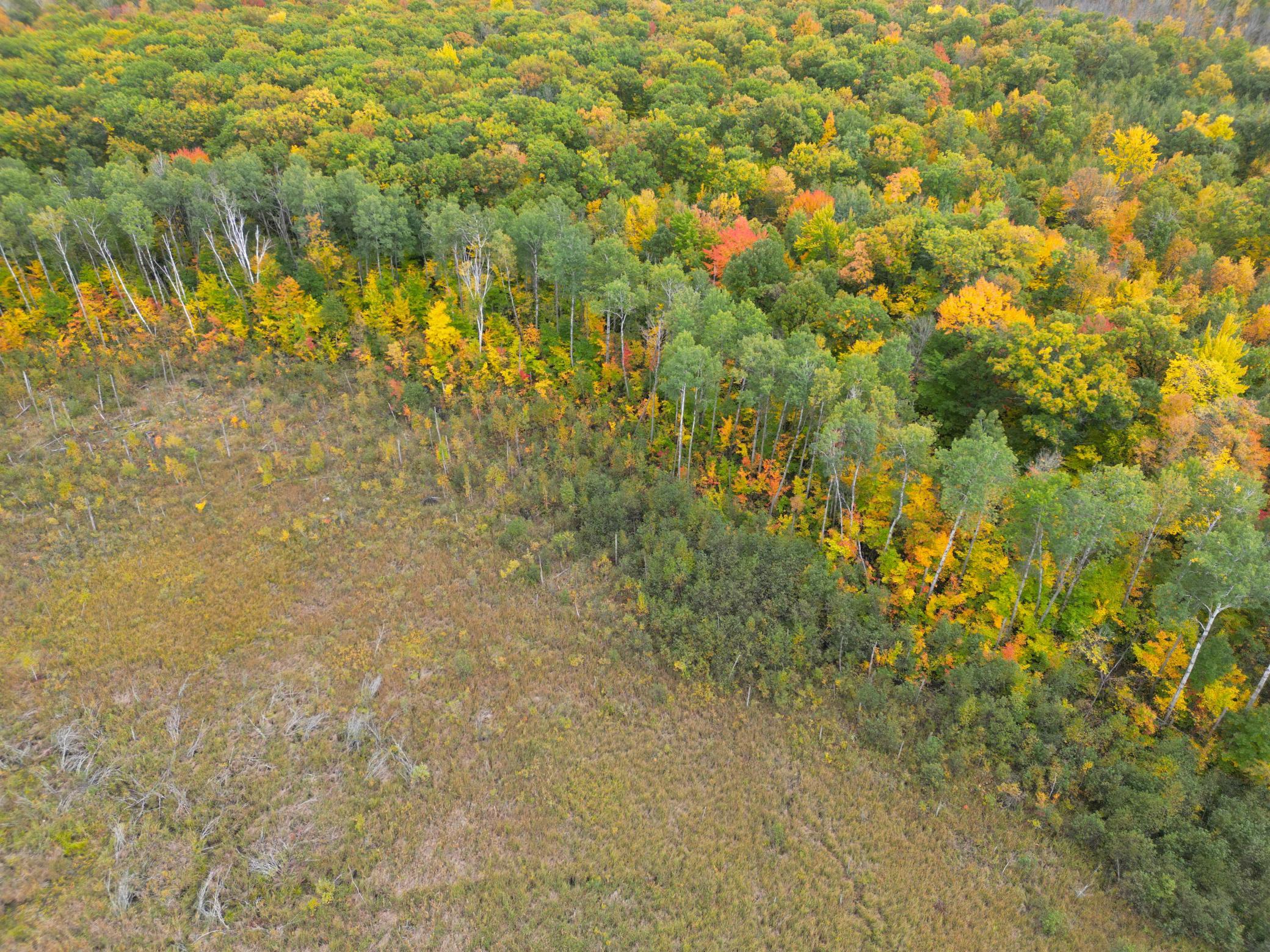 View of Land at TBD 360th Street, Onamia MN 56359, Onamia (48 of 59) - Mike Wilen | Minnesota Team Real Estate