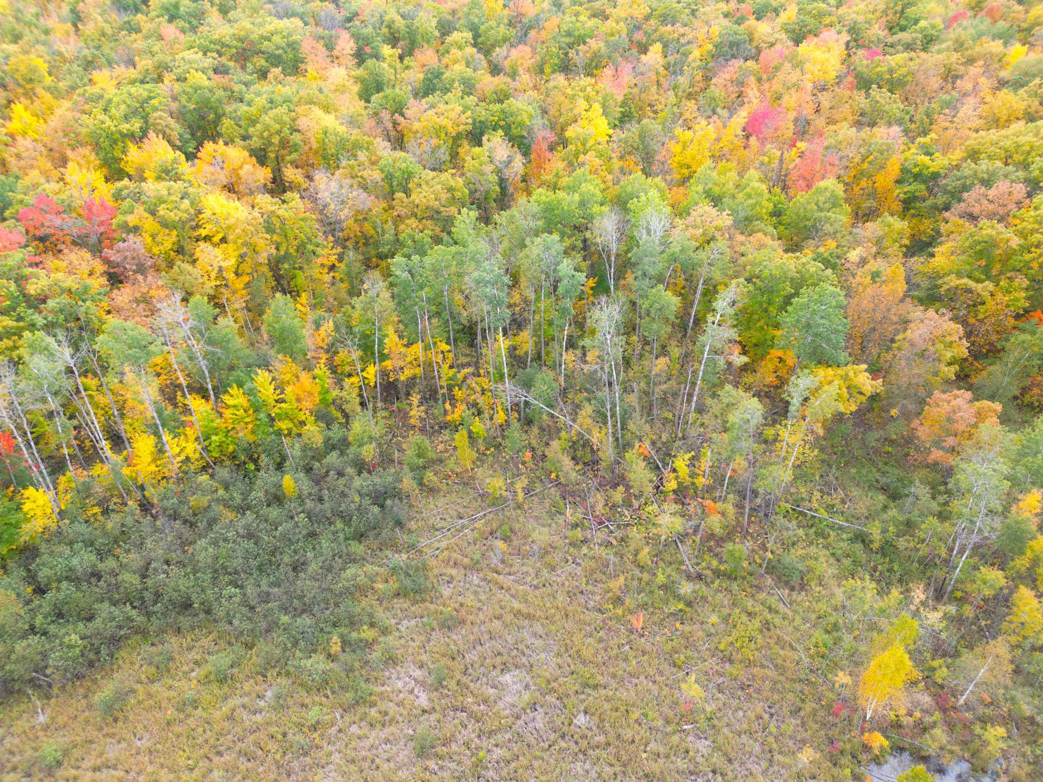 View of Land at TBD 360th Street, Onamia MN 56359, Onamia (47 of 59) - Mike Wilen | Minnesota Team Real Estate