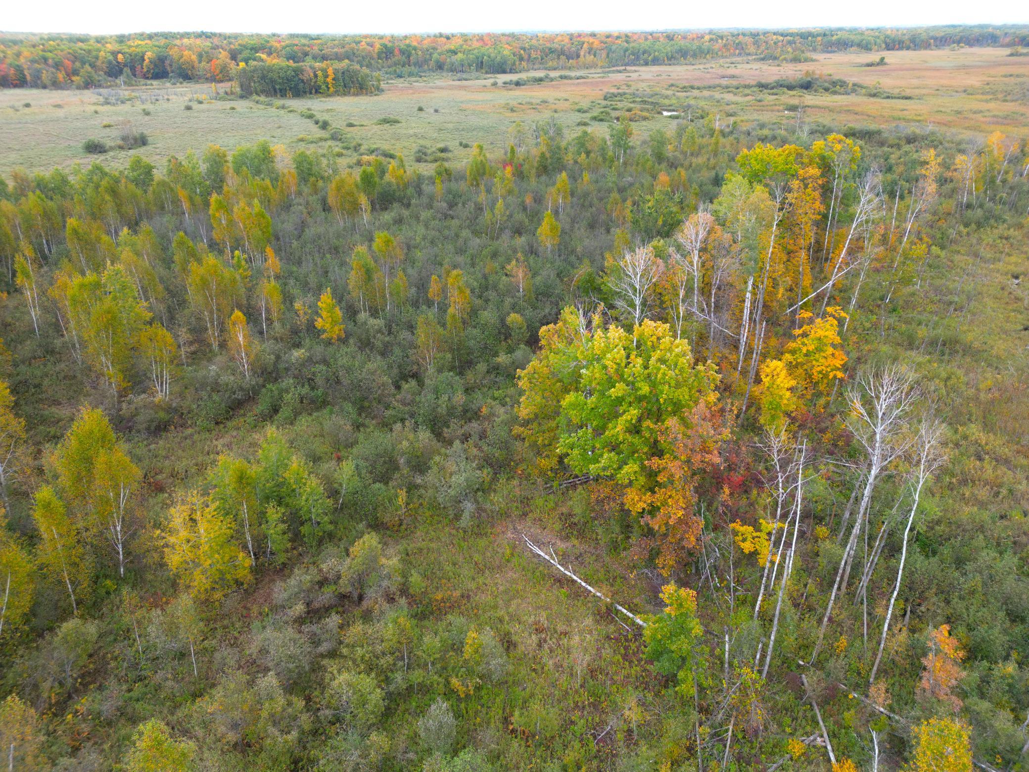 View of Land at TBD 360th Street, Onamia MN 56359, Onamia (46 of 59) - Mike Wilen | Minnesota Team Real Estate