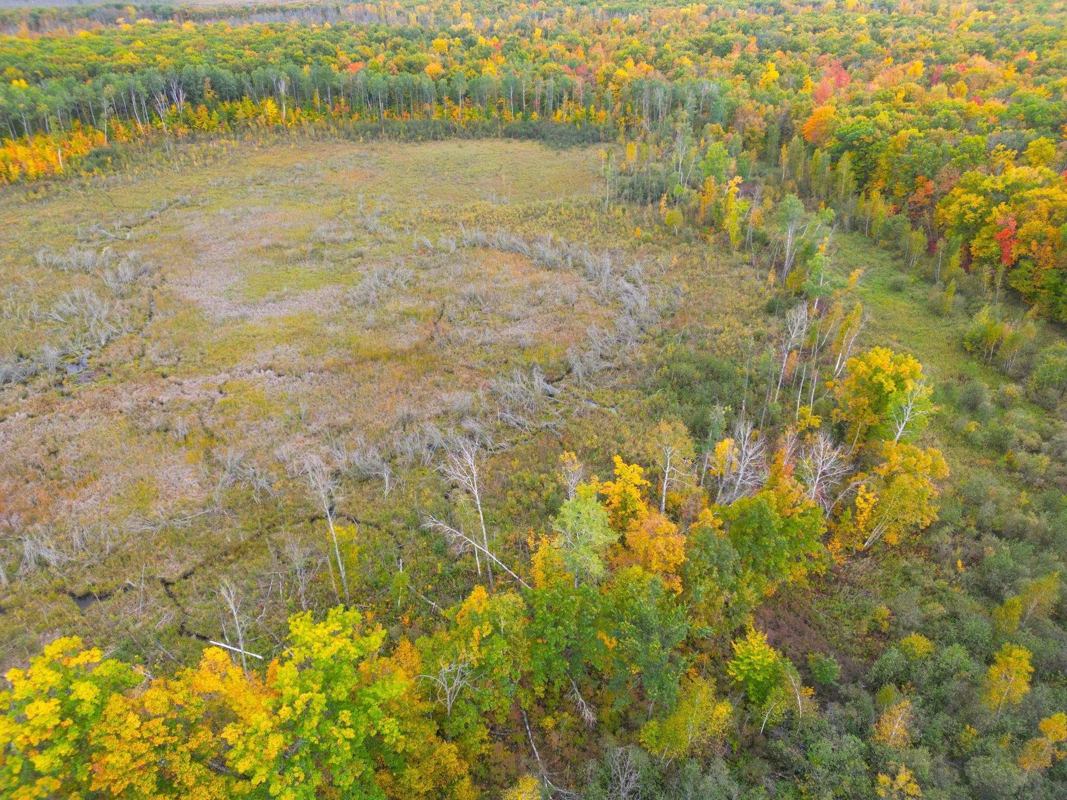 View of Land at TBD 360th Street, Onamia MN 56359, Onamia (44 of 59) - Mike Wilen | Minnesota Team Real Estate