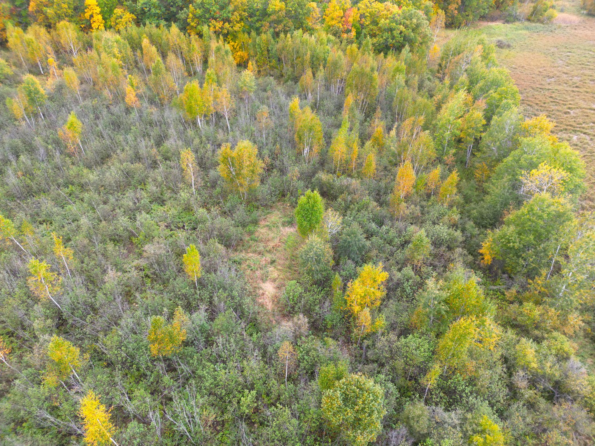 View of Land at TBD 360th Street, Onamia MN 56359, Onamia (43 of 59) - Mike Wilen | Minnesota Team Real Estate
