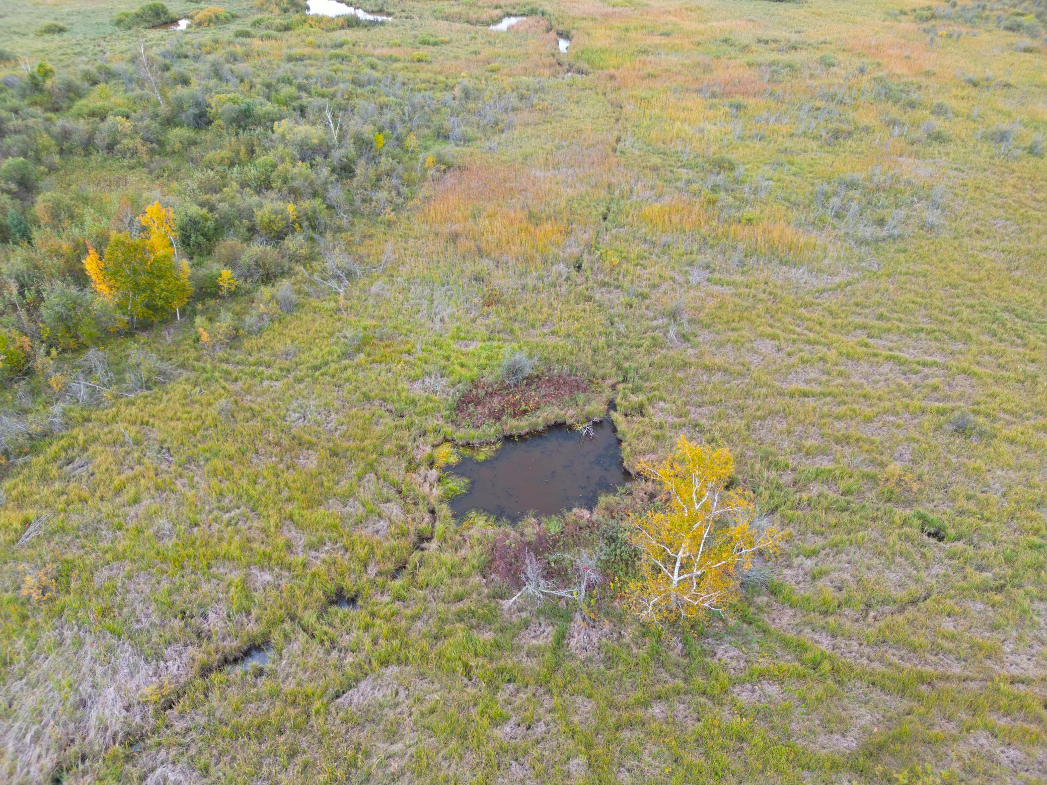 View of Land at TBD 360th Street, Onamia MN 56359, Onamia (51 of 59) - Mike Wilen | Minnesota Team Real Estate