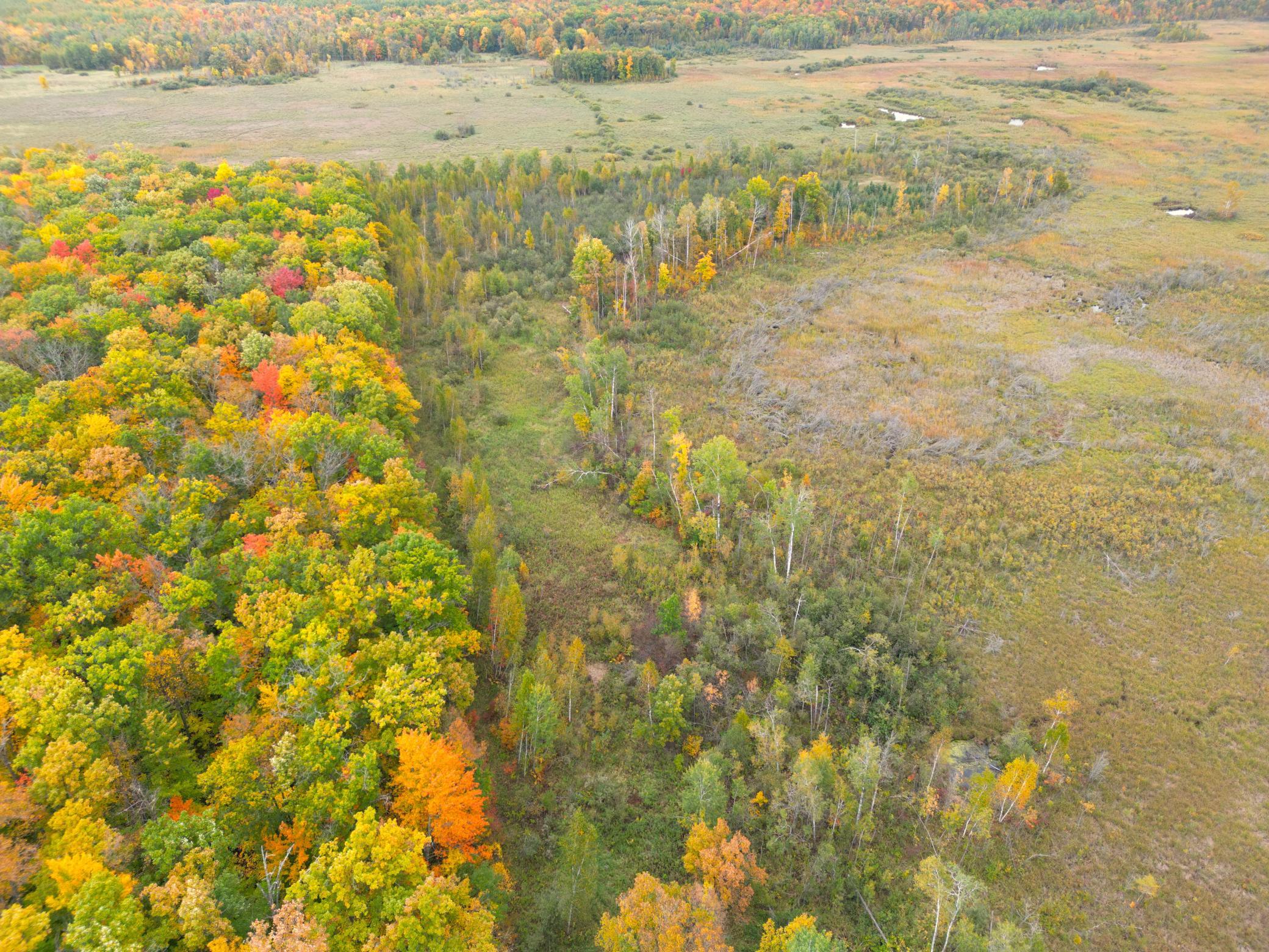 View of Land at TBD 360th Street, Onamia MN 56359, Onamia (54 of 59) - Mike Wilen | Minnesota Team Real Estate