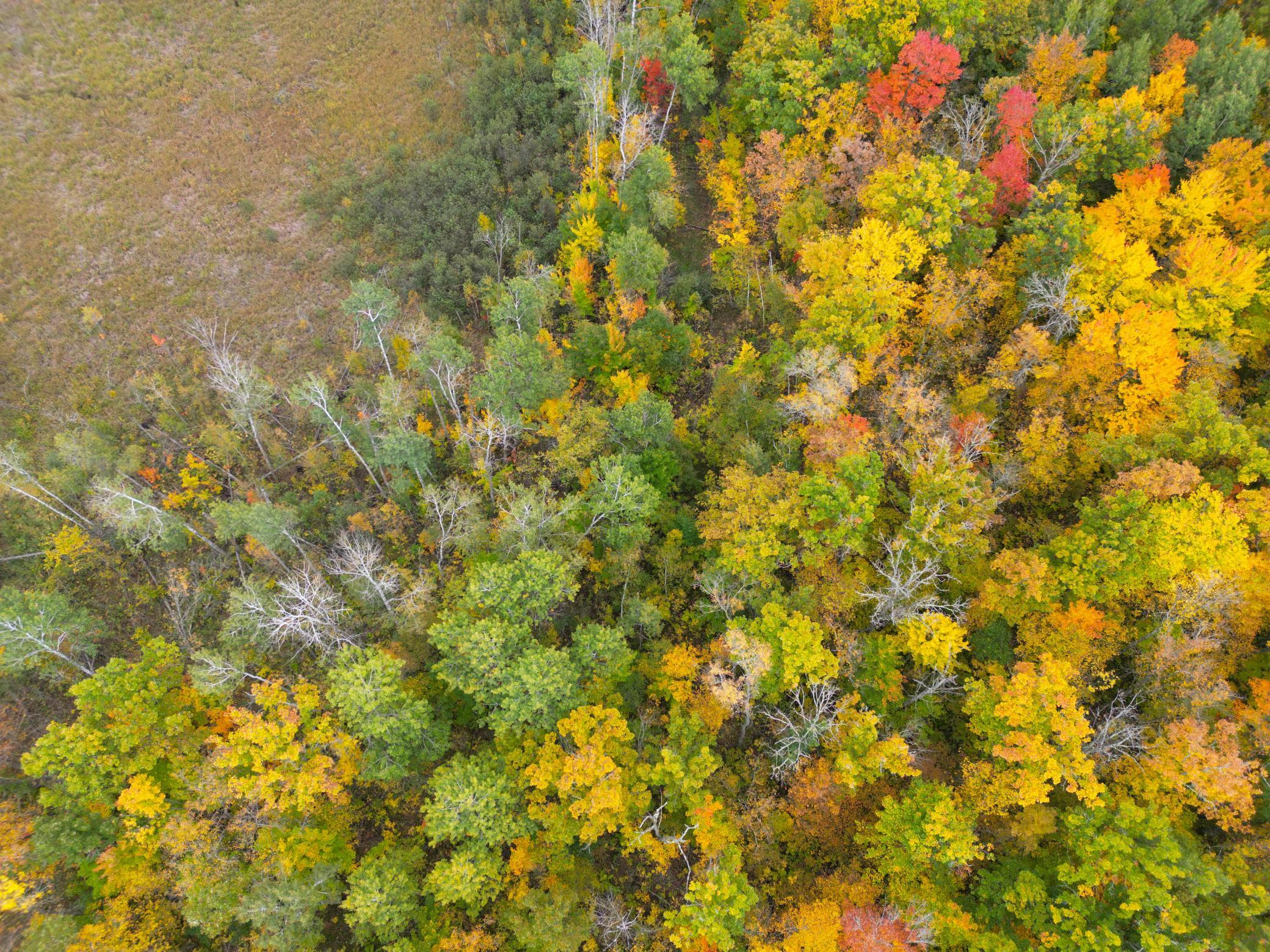 View of Land at TBD 360th Street, Onamia MN 56359, Onamia (53 of 59) - Mike Wilen | Minnesota Team Real Estate