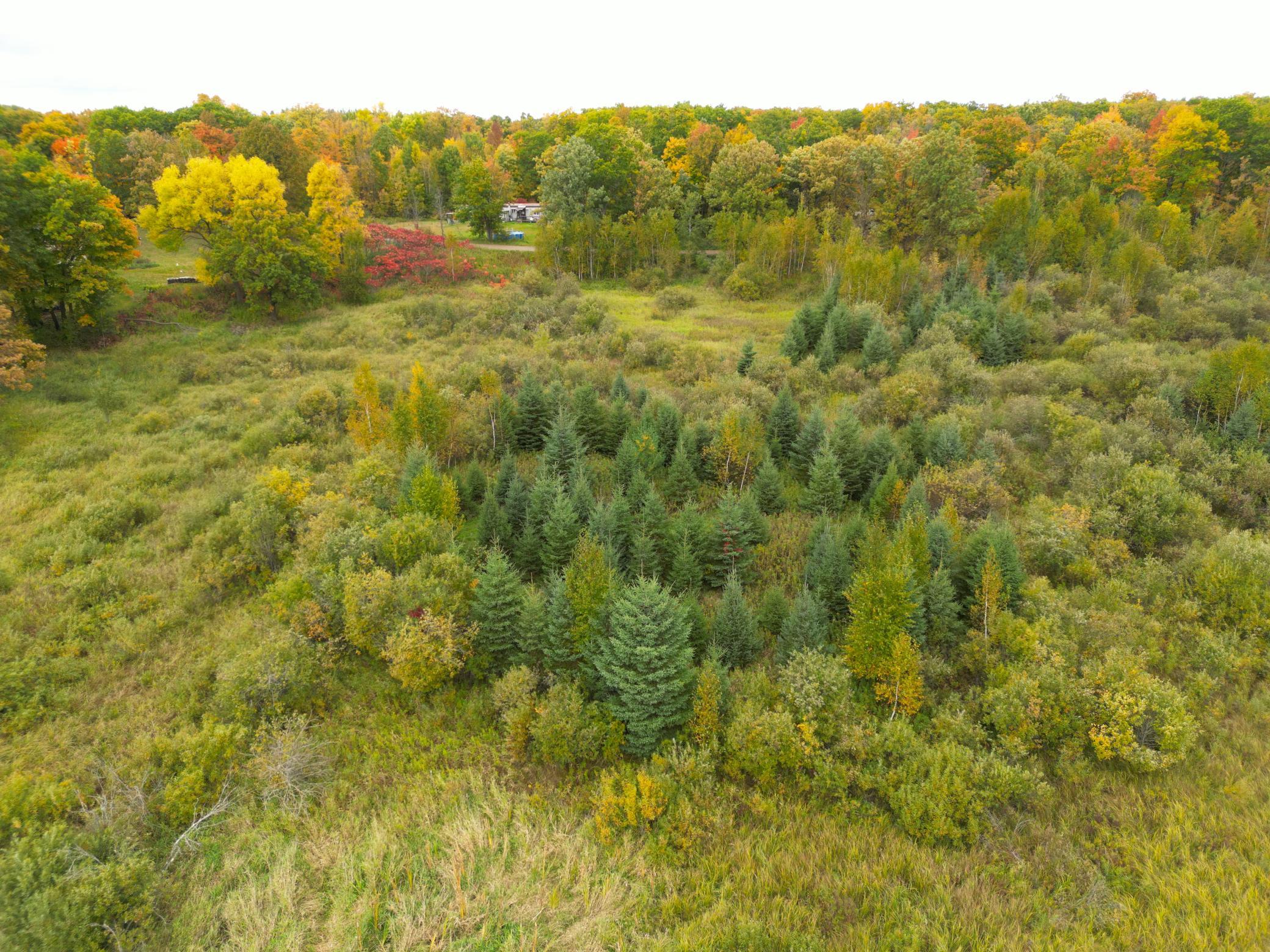 View of Land at TBD 360th Street, Onamia MN 56359, Onamia (57 of 59) - Mike Wilen | Minnesota Team Real Estate
