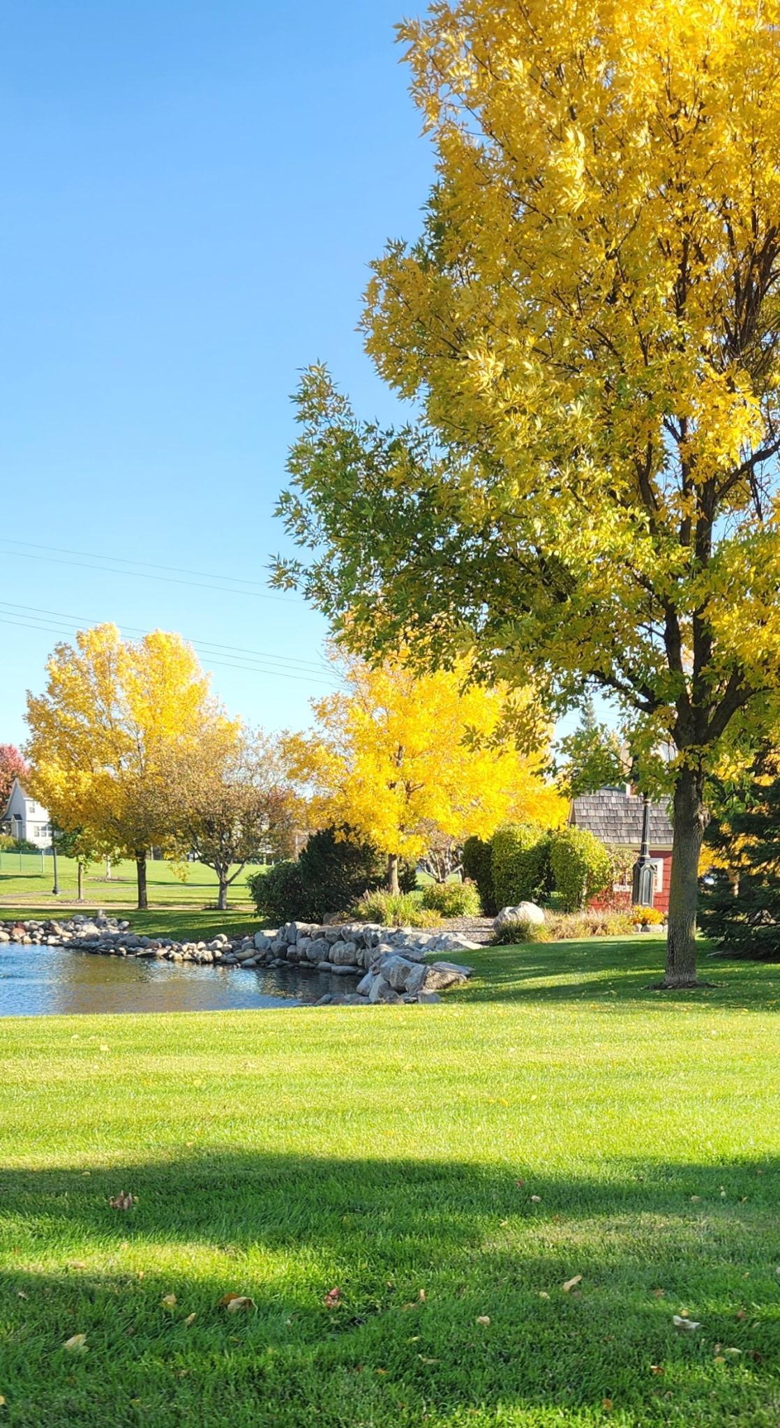 View of Residential at 11170 68th Street, Albertville MN 55301, Albertville (32 of 34) - Mike Wilen | Minnesota Team Real Estate