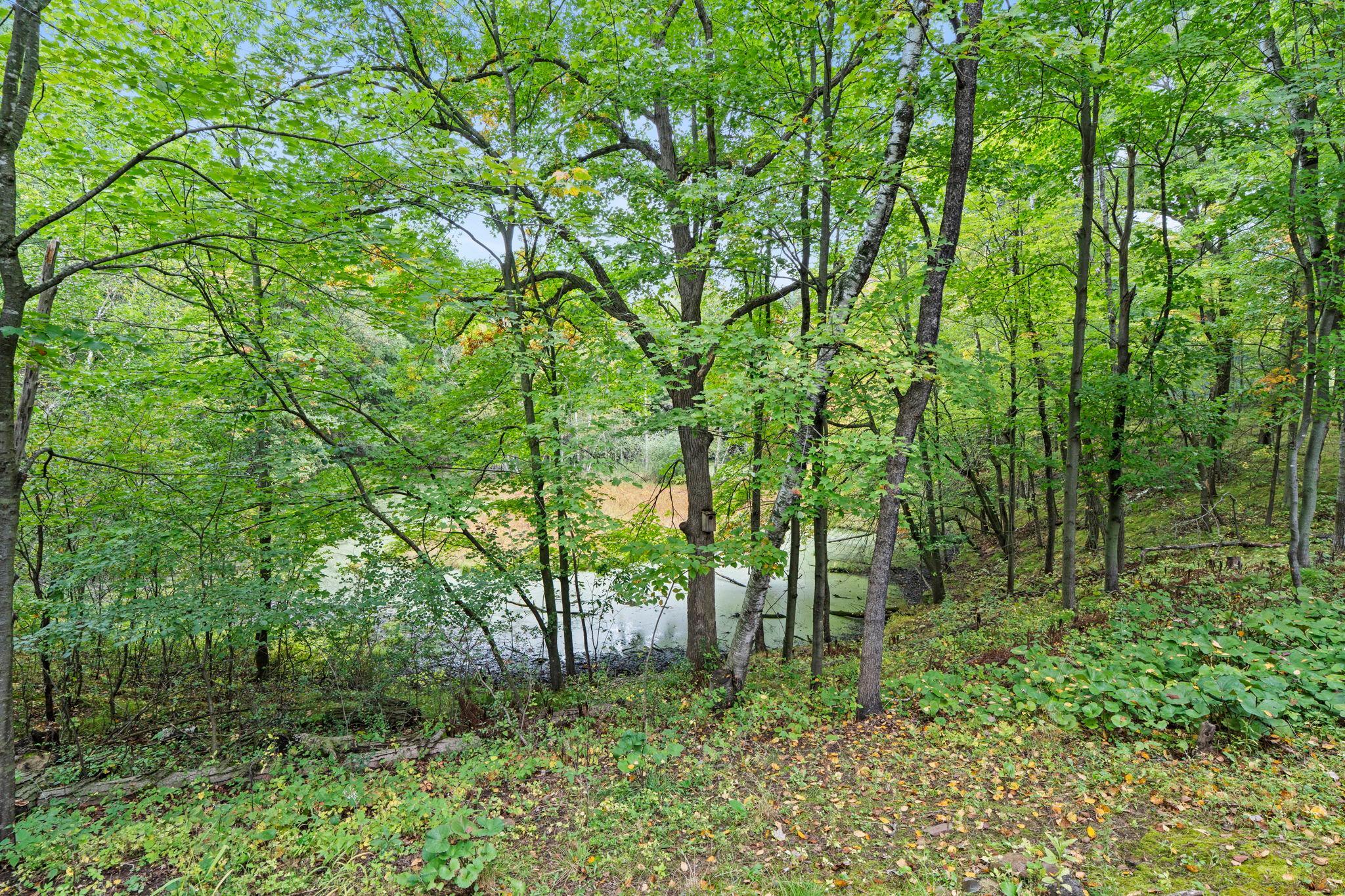 View of Residential at 16090 Morgan Avenue, Marine On Saint Croix MN 55047, Marine On Saint Croix (63 of 91) - Mike Wilen | Minnesota Team Real Estate