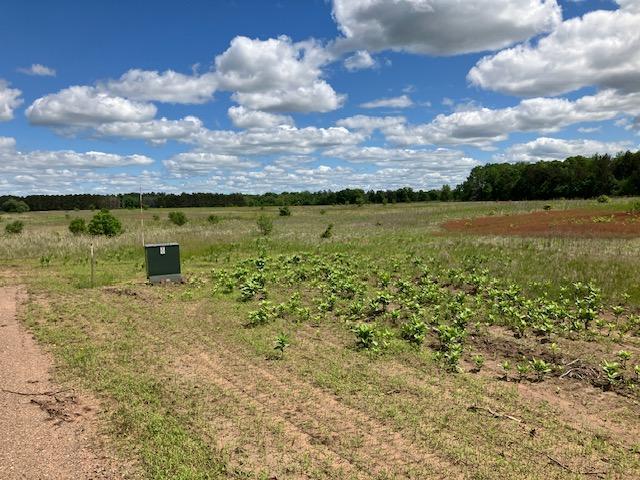 View of Land at Parcel C Keystone Avenue, Sunrise Twp MN 55032, Sunrise Twp (7 of 10) - Mike Wilen | Minnesota Team Real Estate