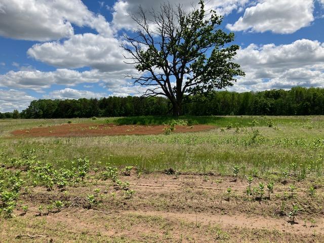 View of Land at Parcel C Keystone Avenue, Sunrise Twp MN 55032, Sunrise Twp (5 of 10) - Mike Wilen | Minnesota Team Real Estate