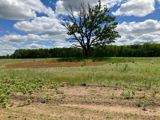 View of Land at Parcel C Keystone Avenue, Sunrise Twp MN 55032, Sunrise Twp (9 of 10) - Mike Wilen | Minnesota Team Real Estate