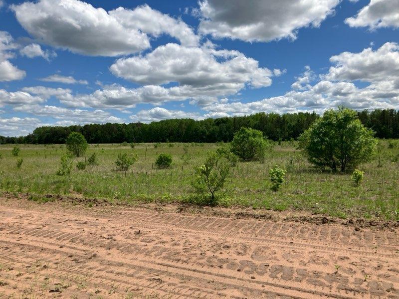 View of Land at Parcel C Keystone Avenue, Sunrise Twp MN 55032, Sunrise Twp (6 of 10) - Mike Wilen | Minnesota Team Real Estate