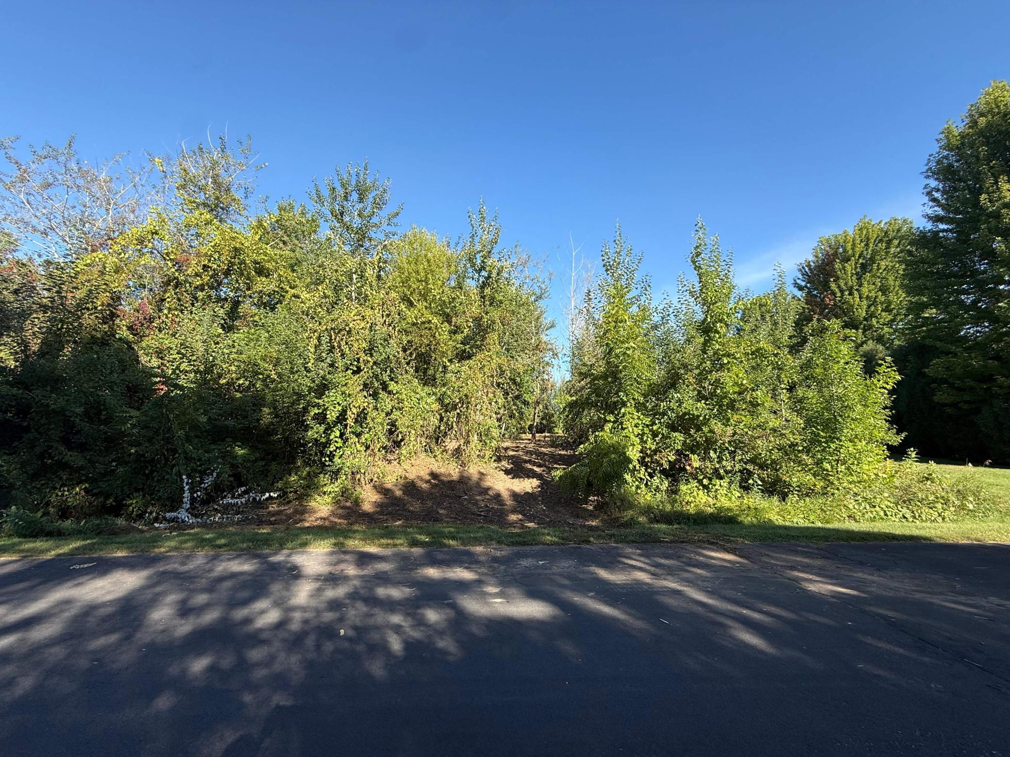 View of Land at L8 B1 319th Lane, Cambridge MN 55008, Cambridge (2 of 15) - Mike Wilen | Minnesota Team Real Estate