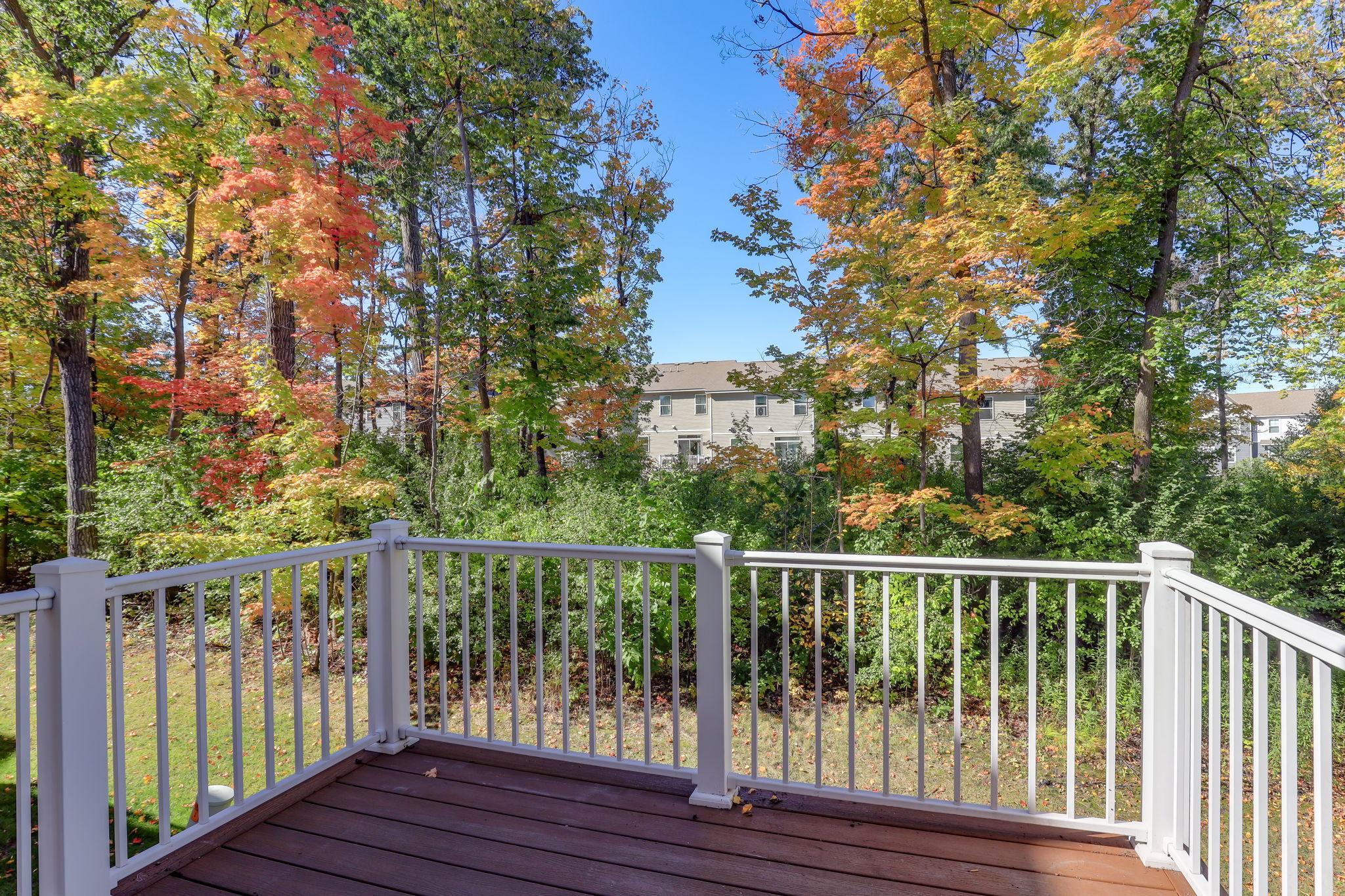 View of Residential at 9663 Merrimac Lane, Maple Grove MN 55311, Maple Grove (36 of 43) - Mike Wilen | Minnesota Team Real Estate