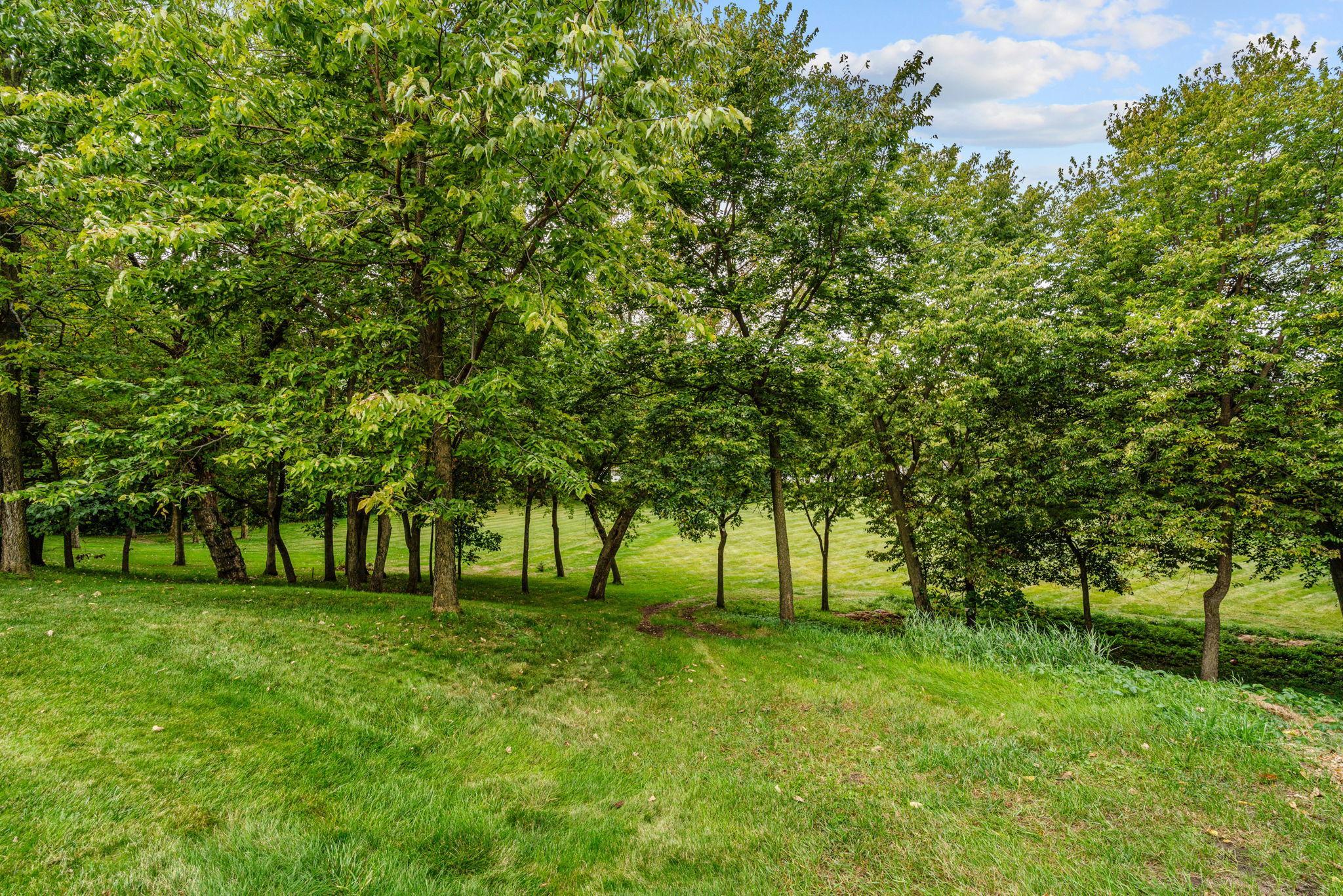 View of Residential at 16850 172nd Street, Big Lake MN 55309, Big Lake (52 of 70) - Mike Wilen | Minnesota Team Real Estate