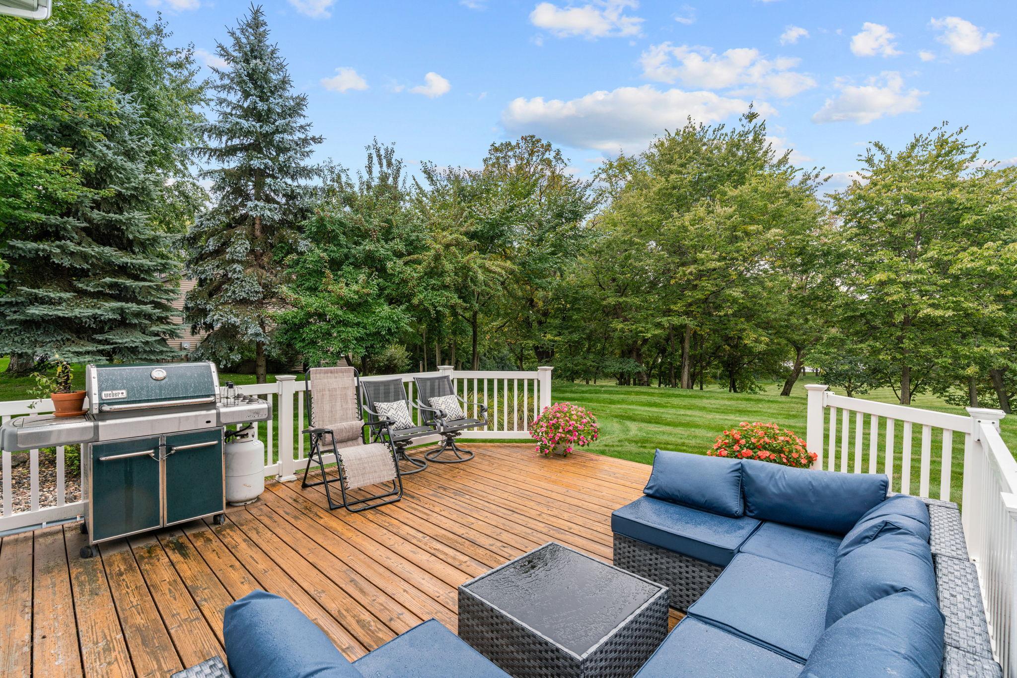 View of Residential at 16850 172nd Street, Big Lake MN 55309, Big Lake (51 of 70) - Mike Wilen | Minnesota Team Real Estate