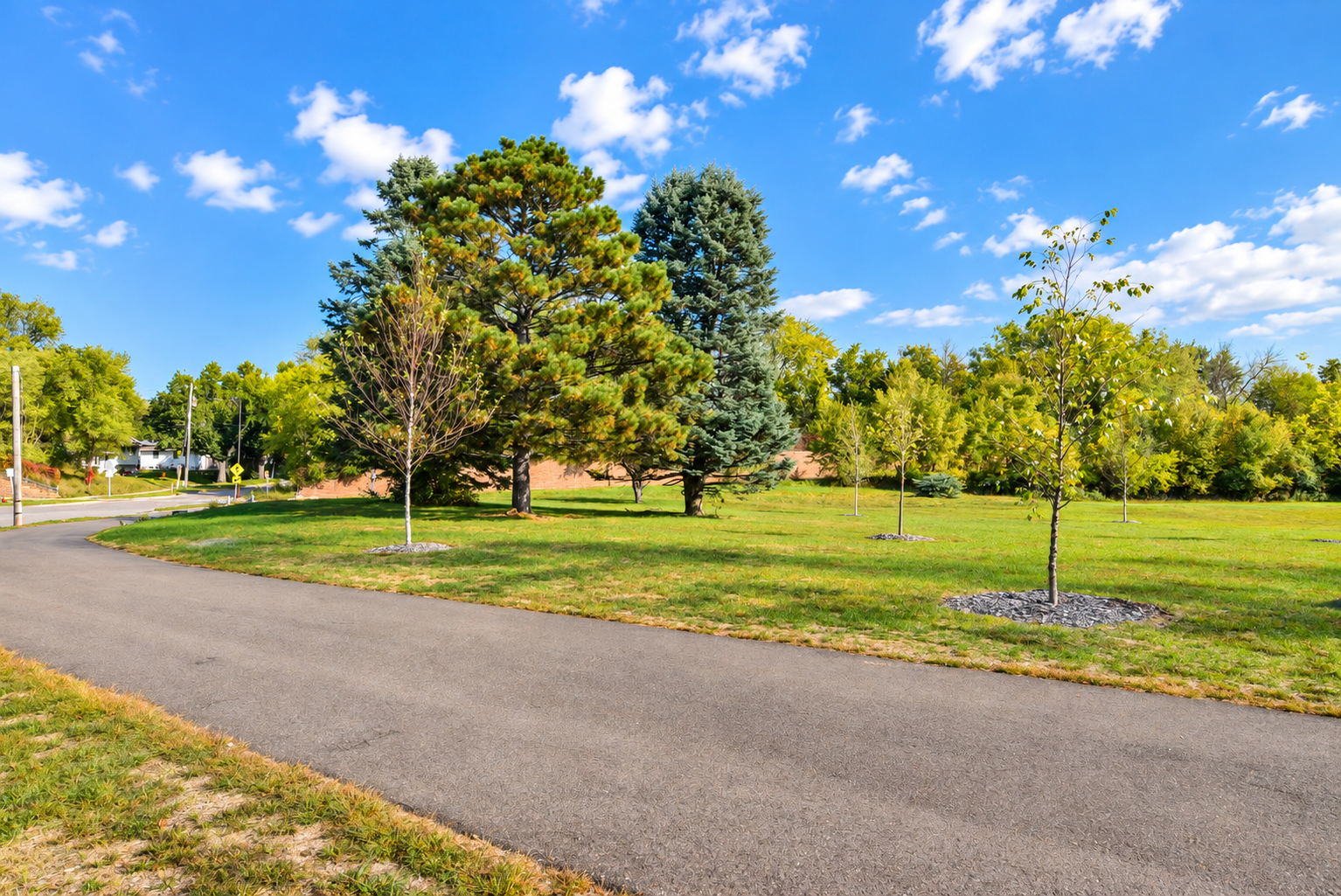 View of Residential at 1445 McAfee Street, Saint Paul MN 55106, Saint Paul (22 of 25) - Mike Wilen | Minnesota Team Real Estate