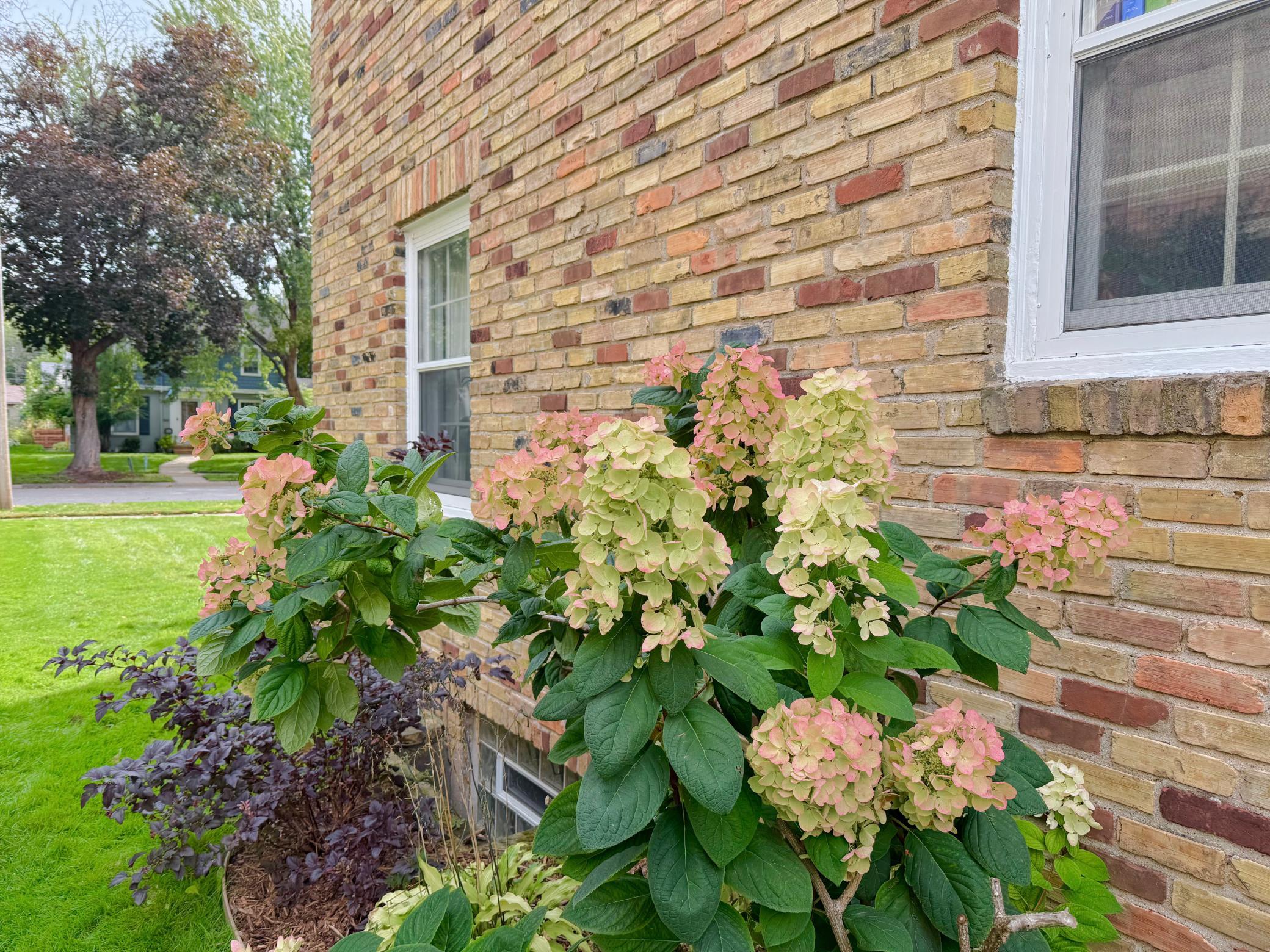 View of Residential at 5632 10th Avenue, Minneapolis MN 55417, Minneapolis (5 of 56) - Mike Wilen | Minnesota Team Real Estate