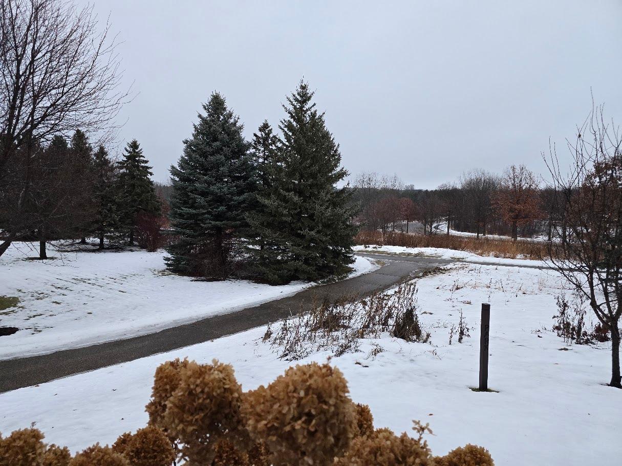 View of Residential at 10547 Hawthorn Court, Woodbury MN 55129, Woodbury (22 of 22) - Mike Wilen | Minnesota Team Real Estate